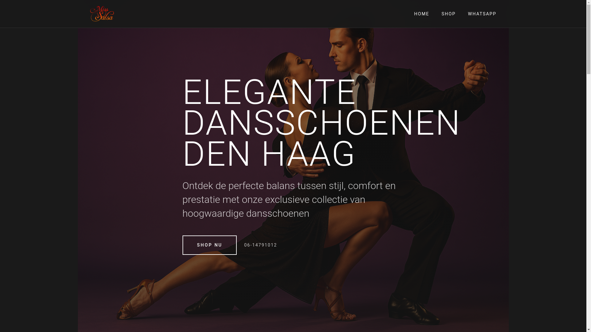 website screenshot of https://dansschoenen-denhaag.nl/