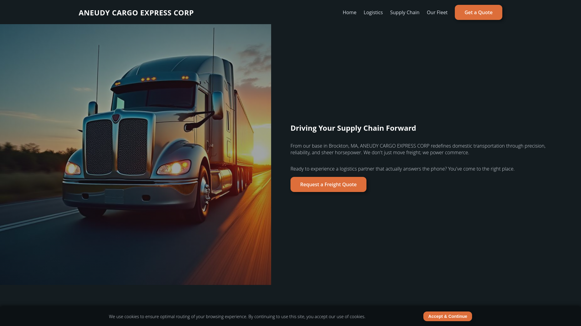 website screenshot of https://aneudy-express.com/