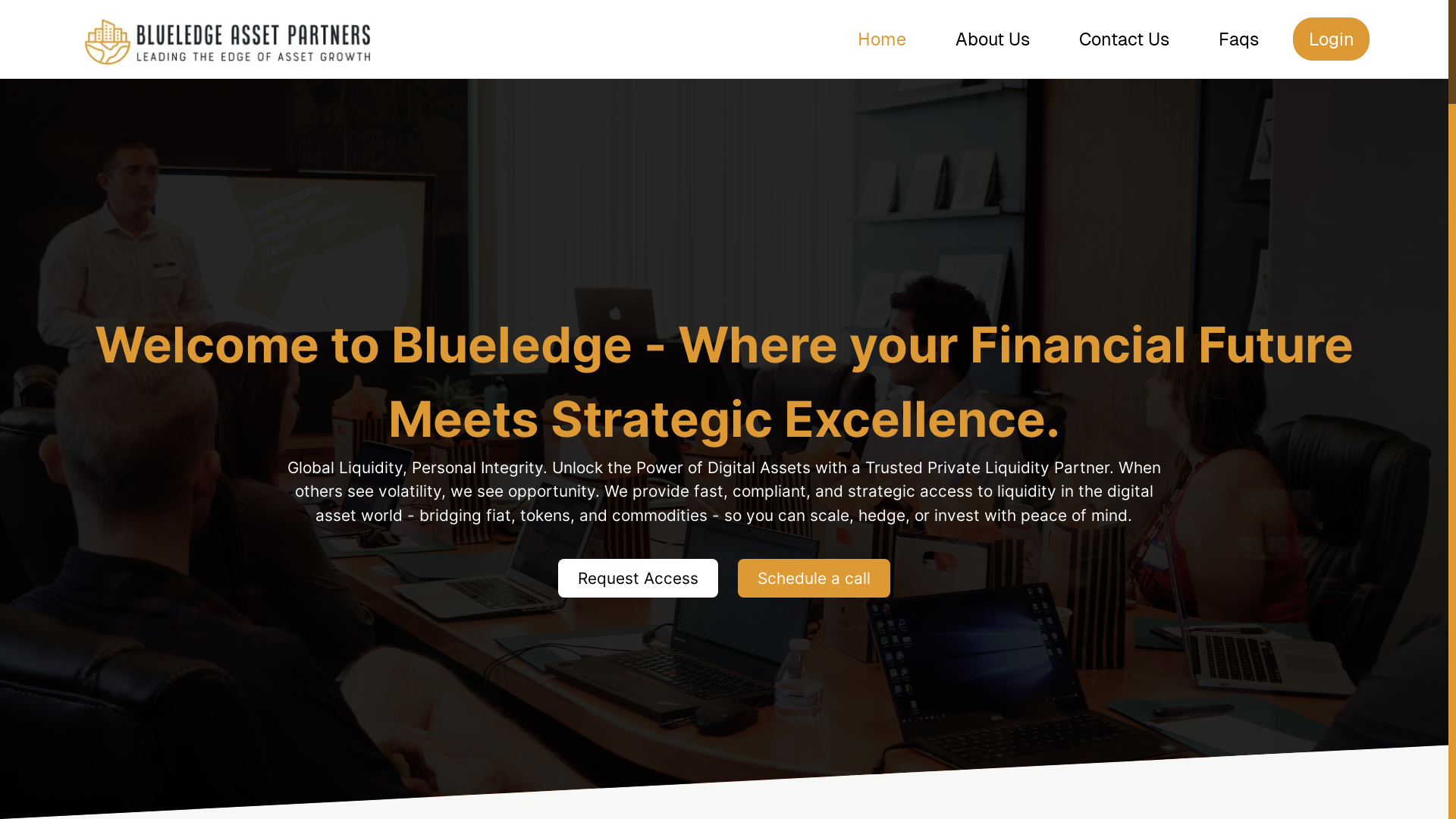 website screenshot of https://blueledgepartners.com/