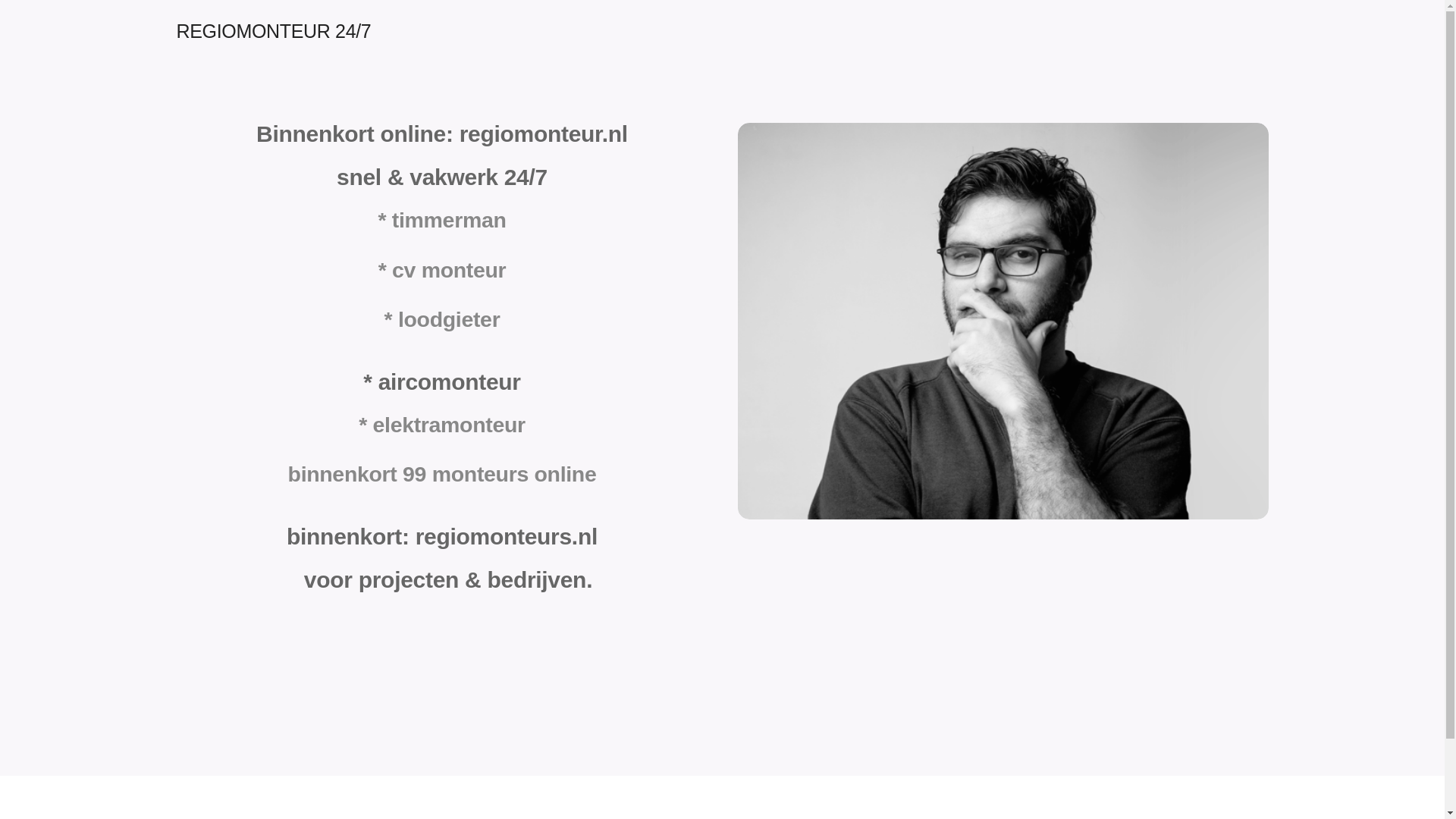 website screenshot of https://regiomonteur.nl/