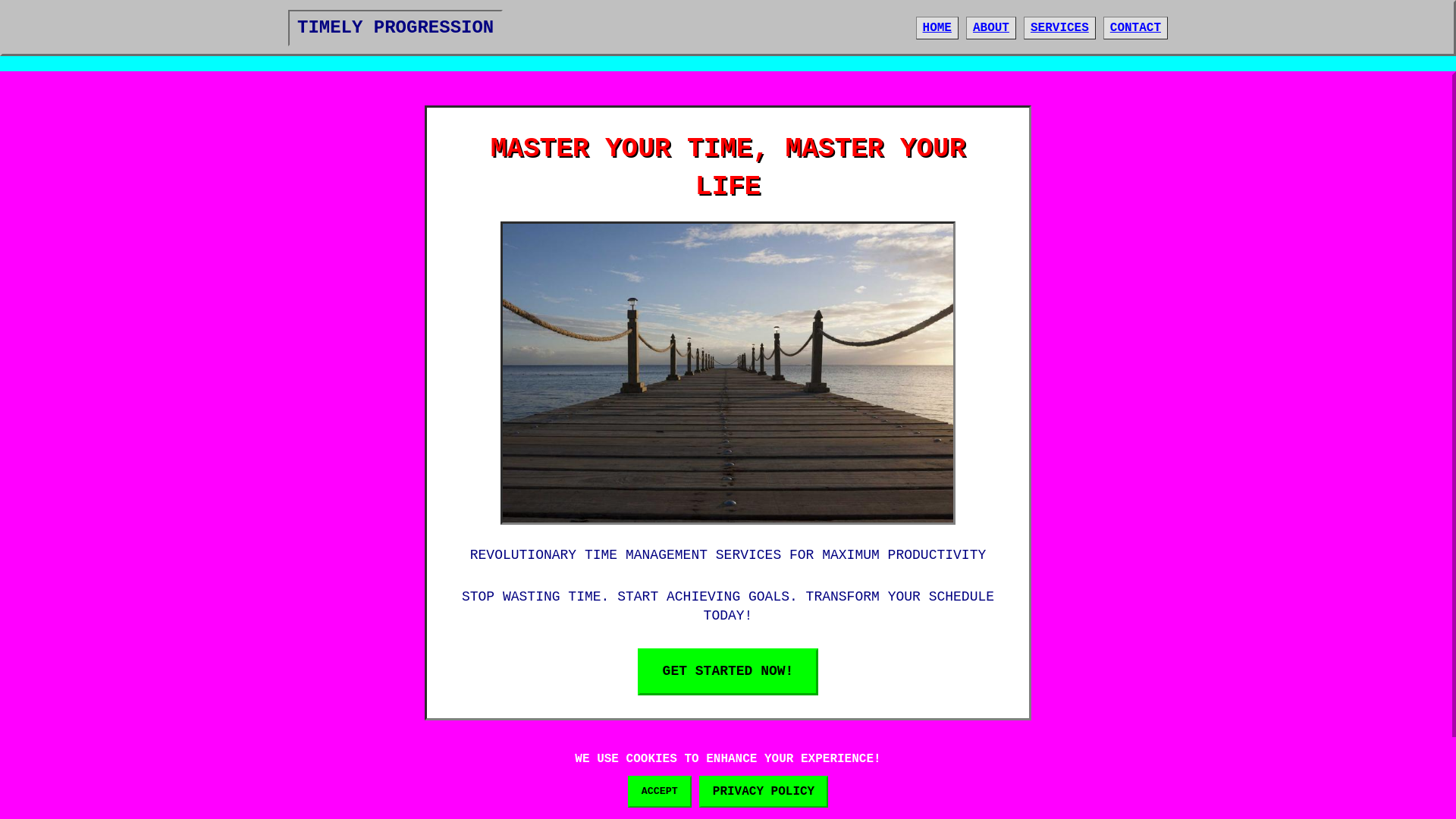website screenshot of https://timelyprogression.digital
