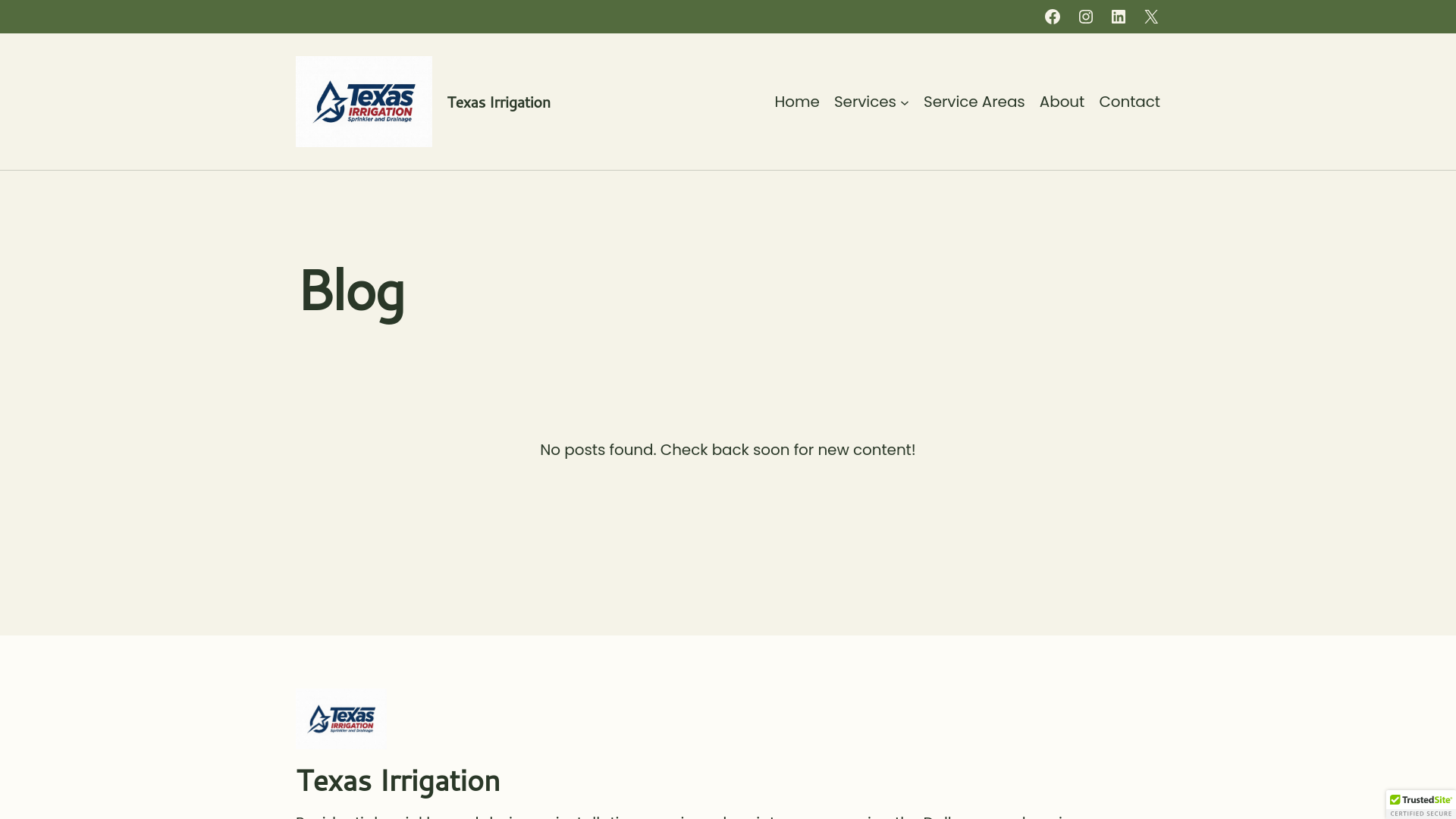 website screenshot of https://texirrservices.com/
