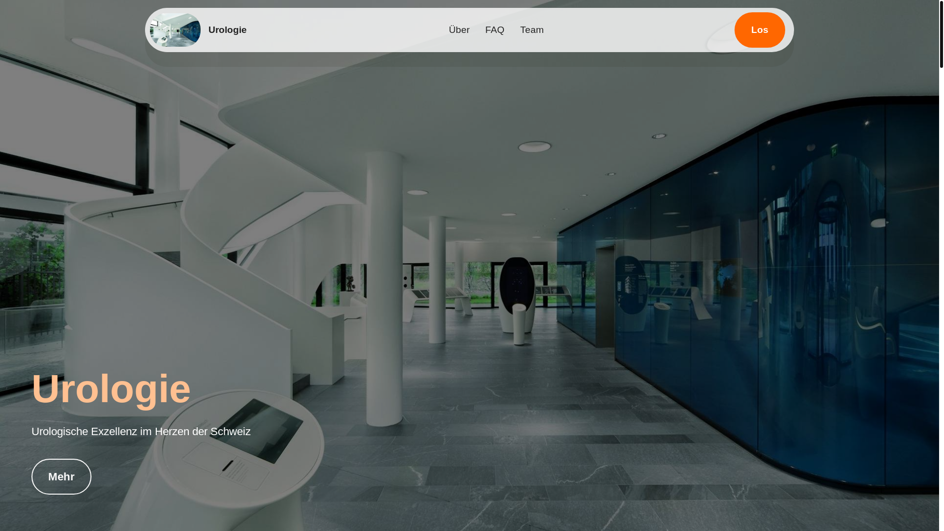 website screenshot of https://chozanapu.shop/