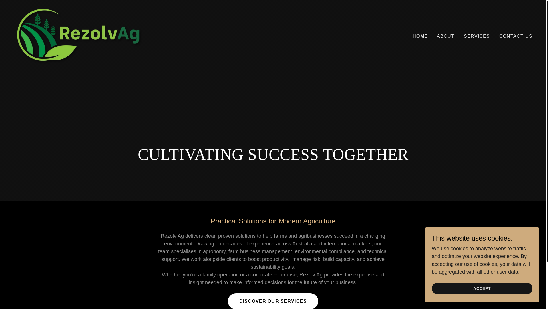 website screenshot of https://rezolvag.au/