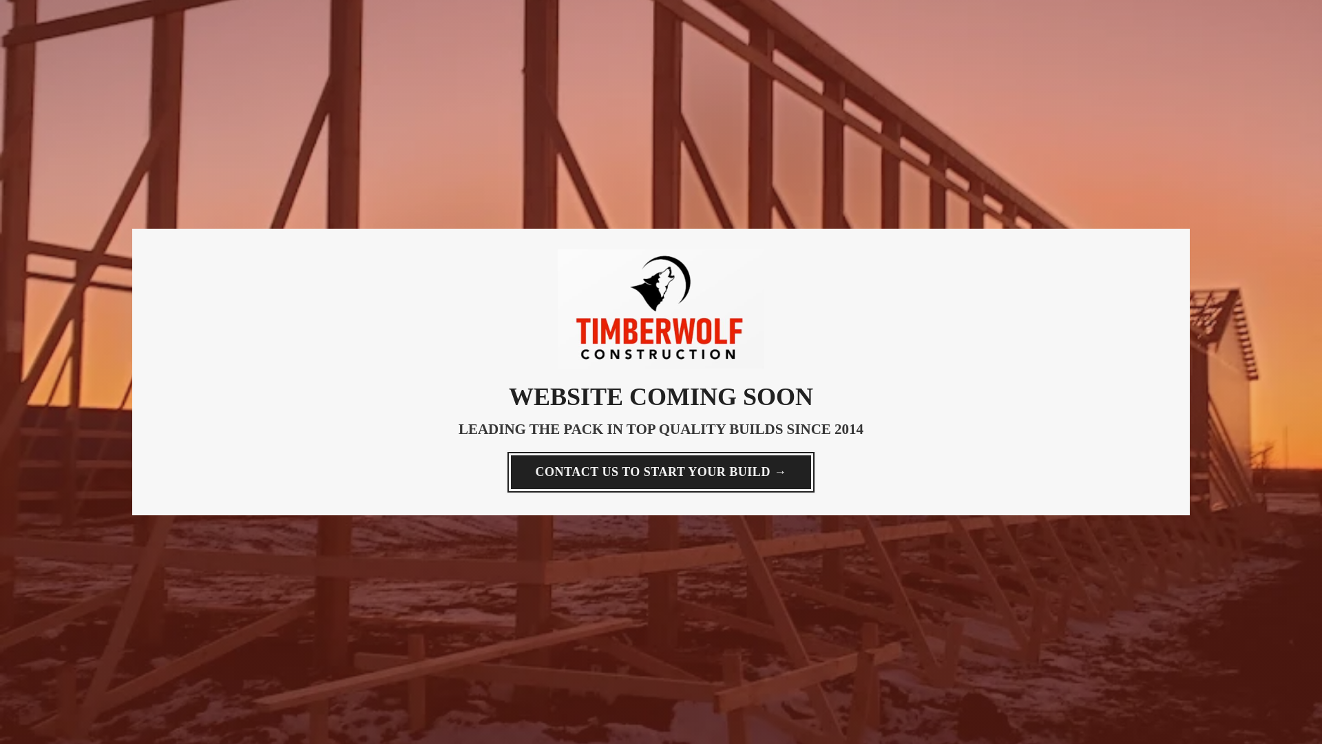website screenshot of https://timberwolfteam.ca/