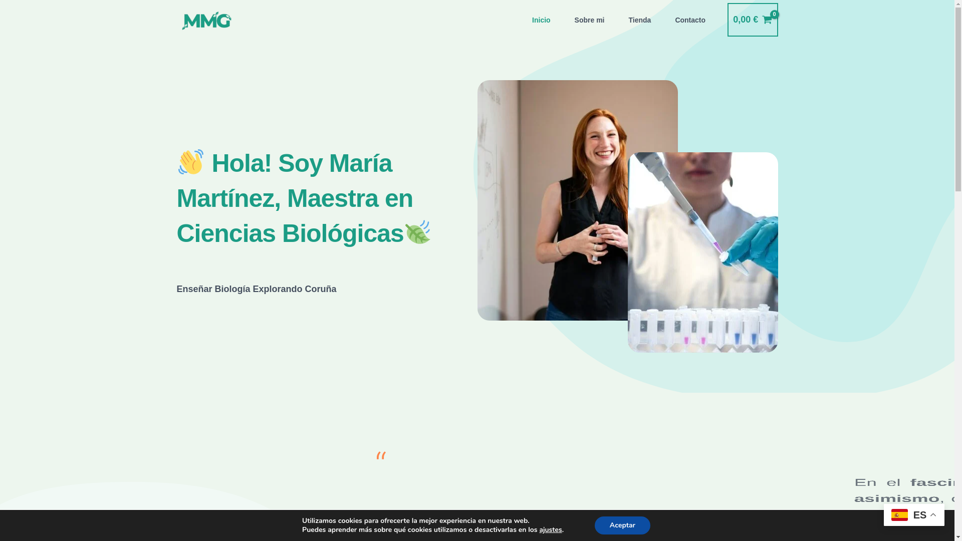 website screenshot of https://docentemartinezgordillo.es/