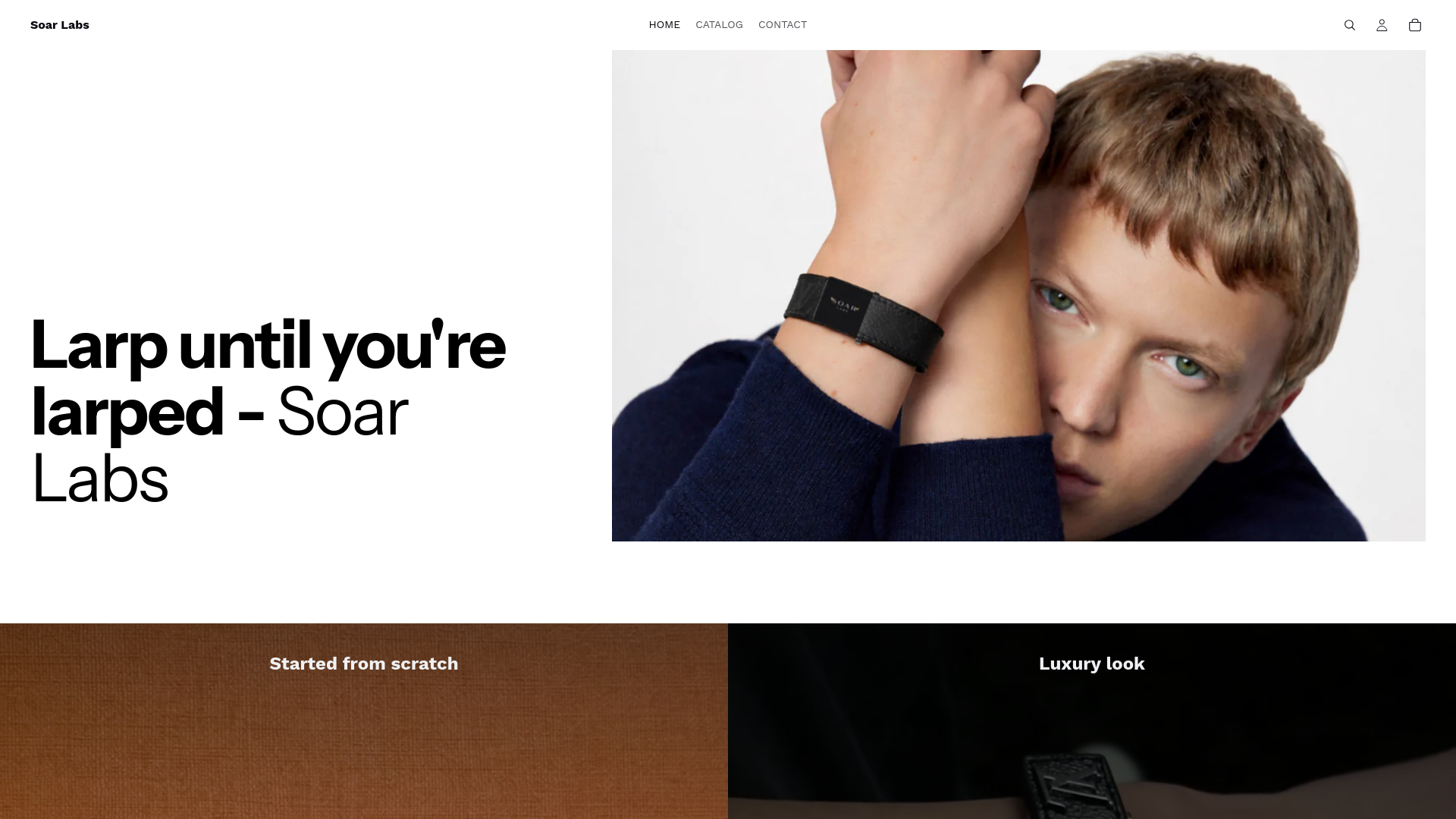 website screenshot of https://soarlabs.shop/