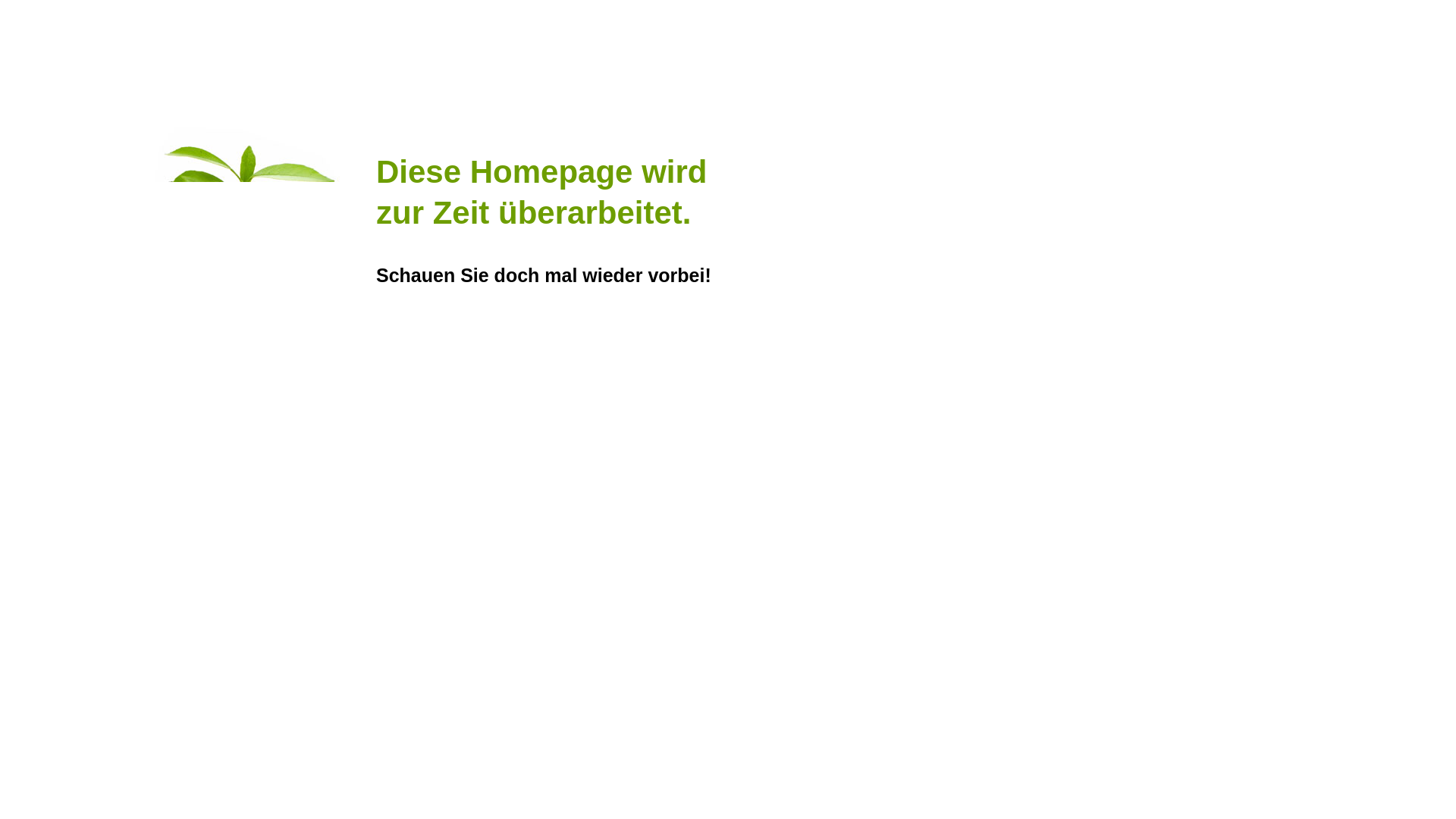 website screenshot of https://kirchenmusik-jagusch.de/