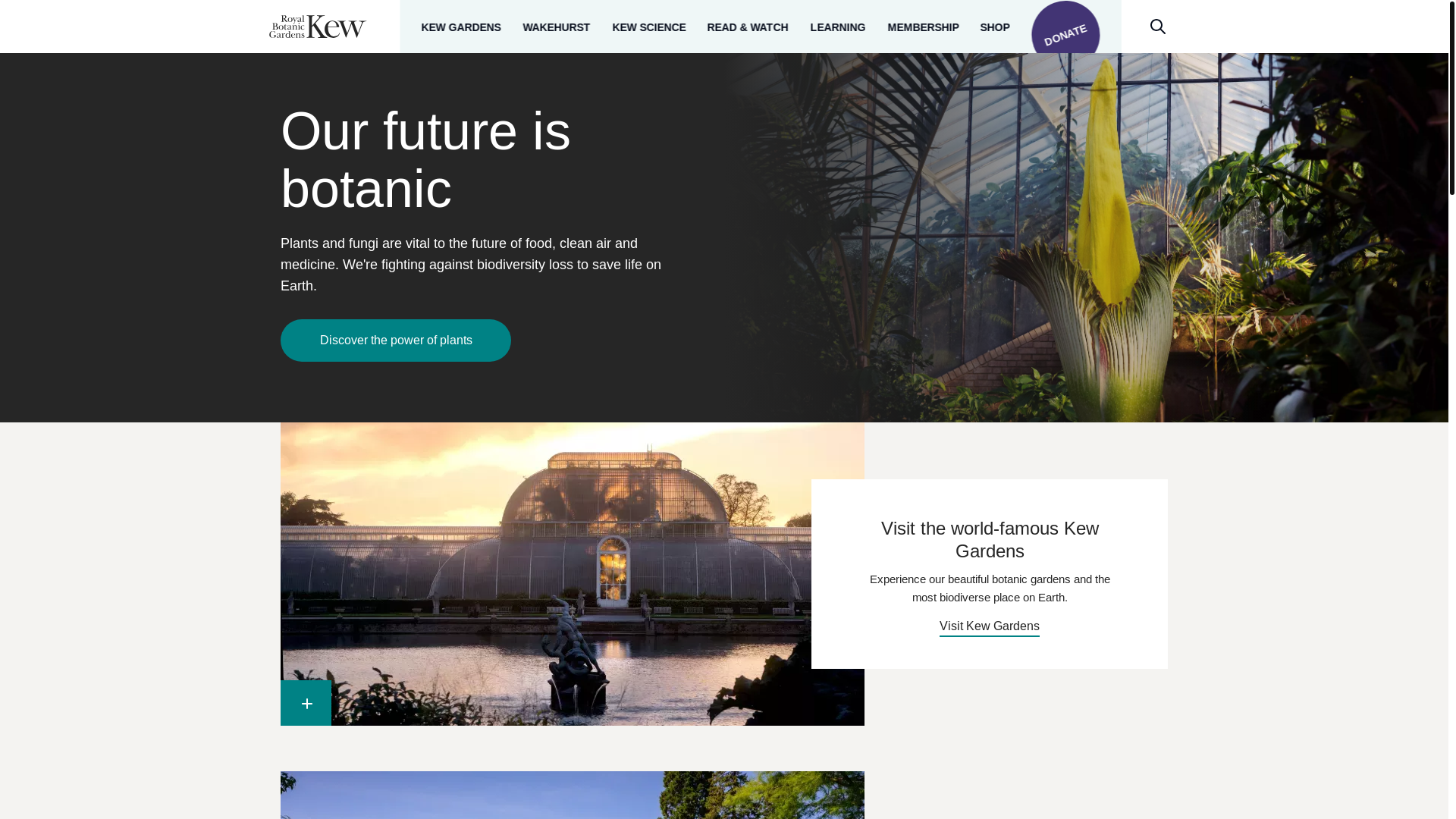 website screenshot of https://www.kew.org/