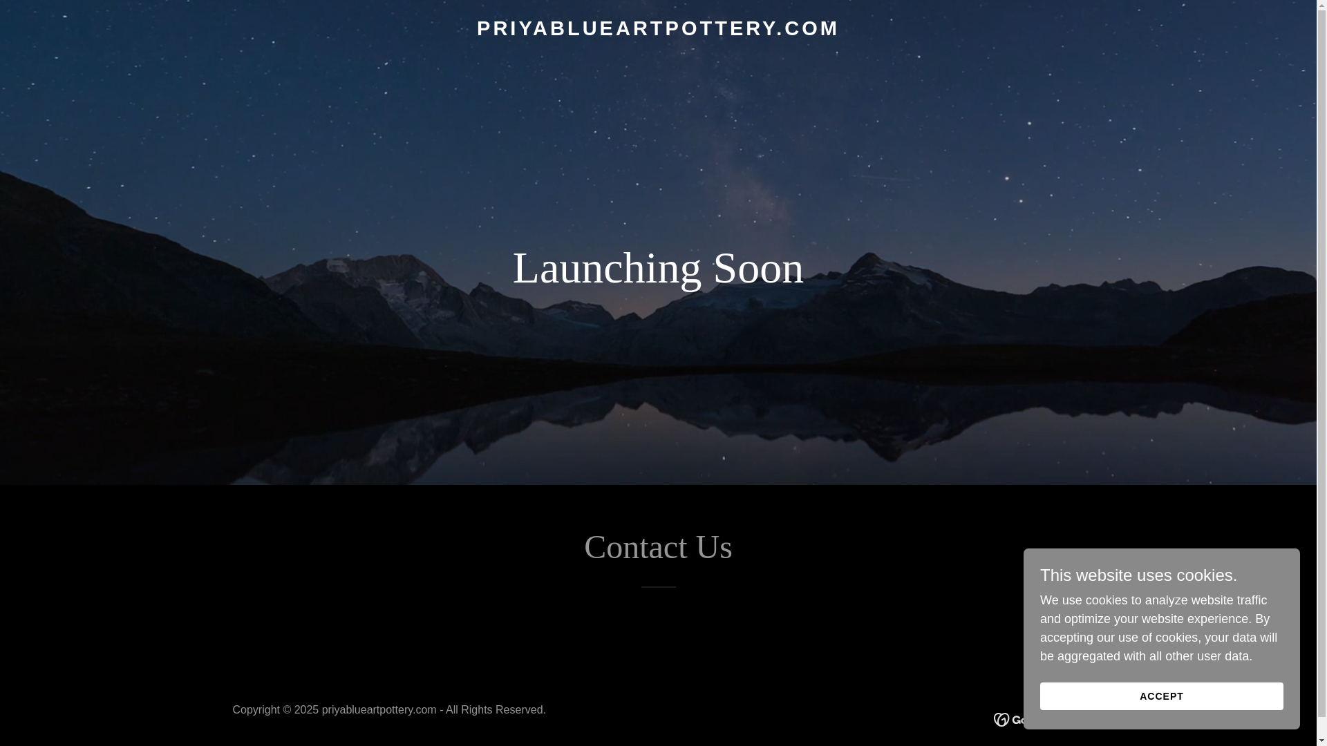 website screenshot of https://priyablueartpottery.com/