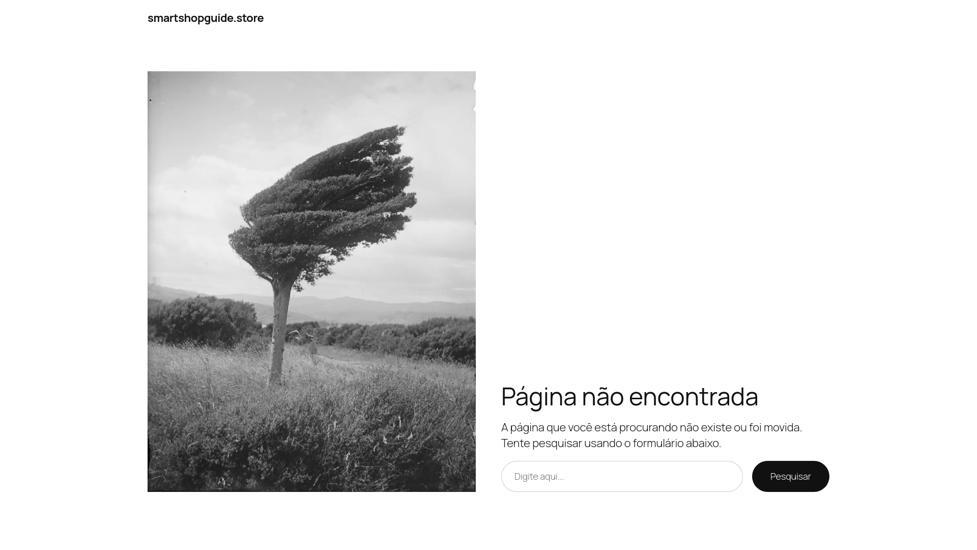 website screenshot of https://smartshopguide.store