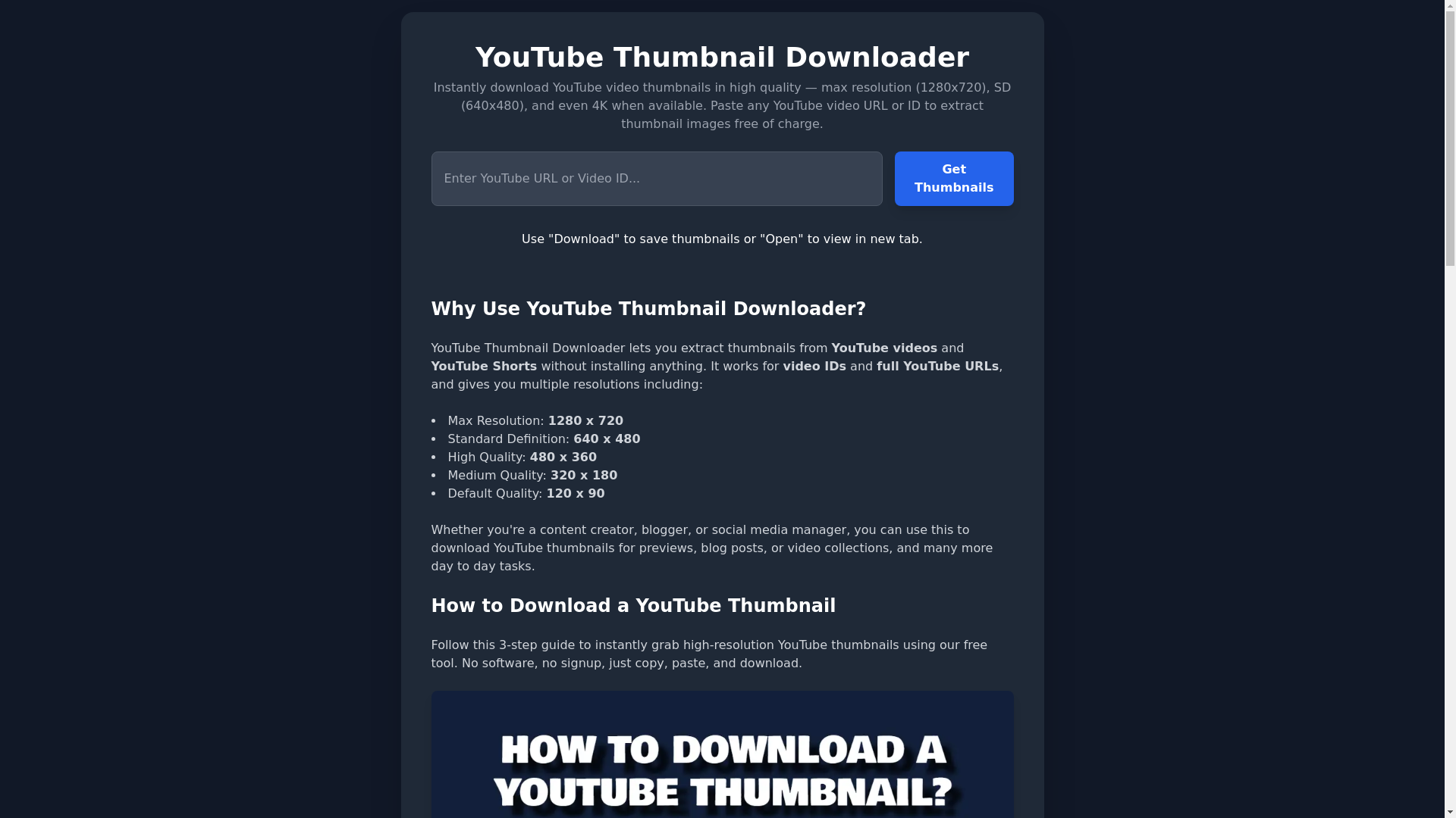 website screenshot of https://thumbnaildownloader.io/