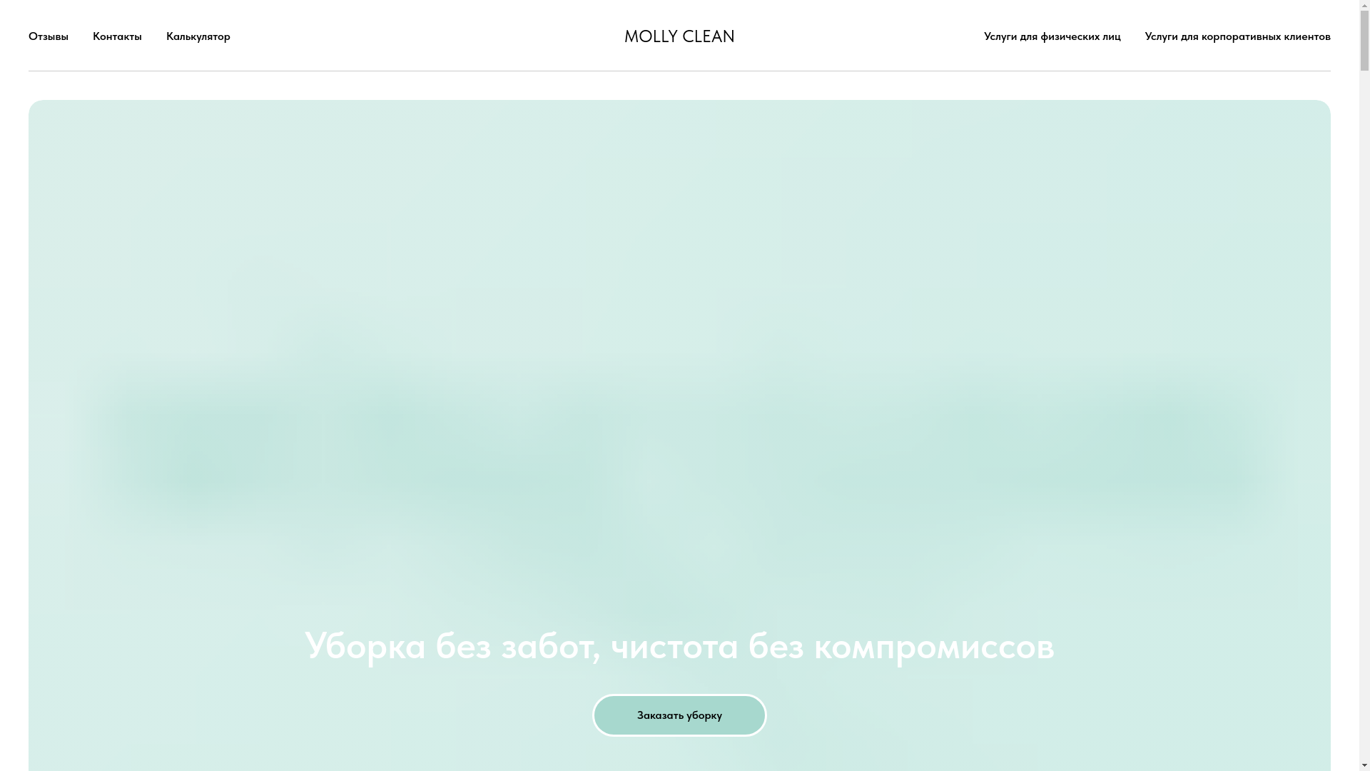 website screenshot of https://molly-clean.ru/