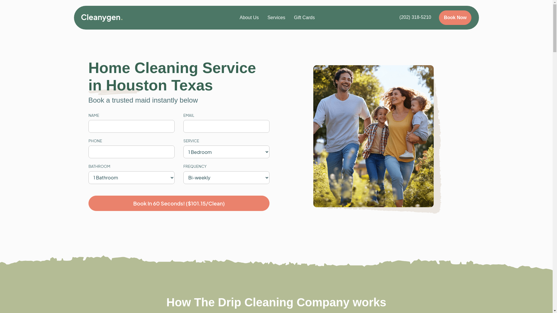 website screenshot of https://thedripcleaner.com/