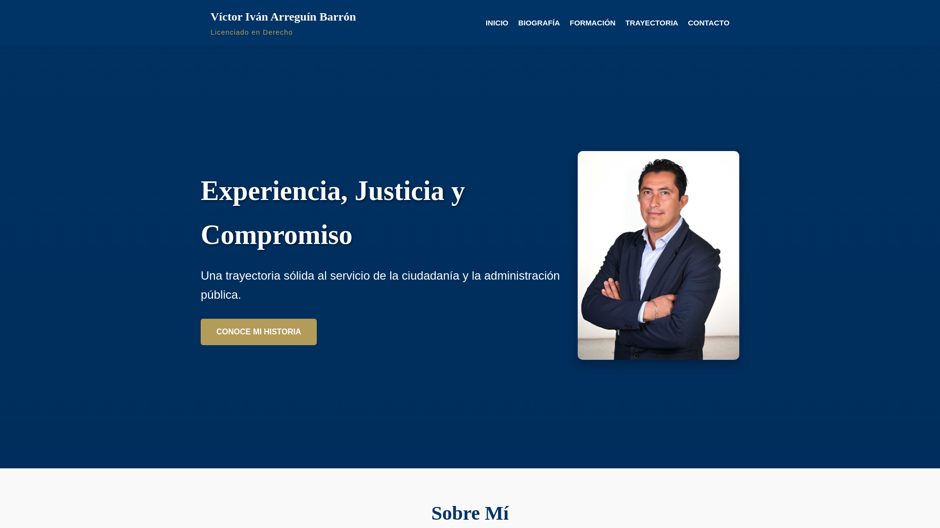 website screenshot of https://ivanarreguin.com/