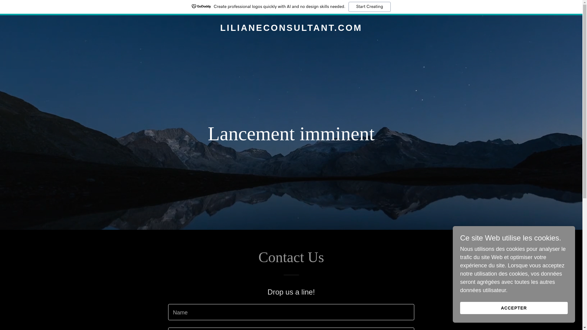 website screenshot of https://lilianeconsultant.com/