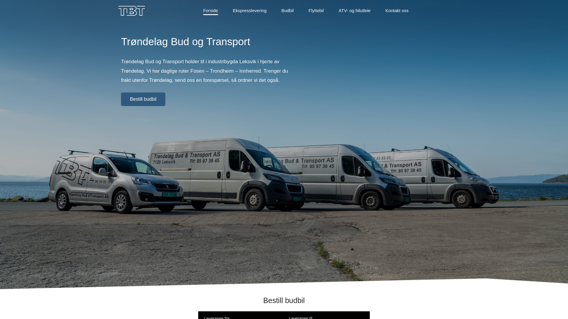 website screenshot of https://t-bt.no