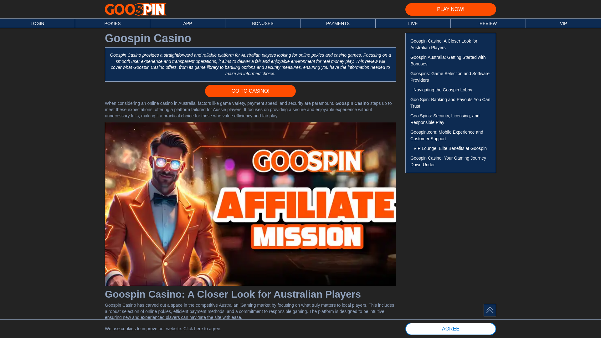 website screenshot of https://goospincasinoau.online/