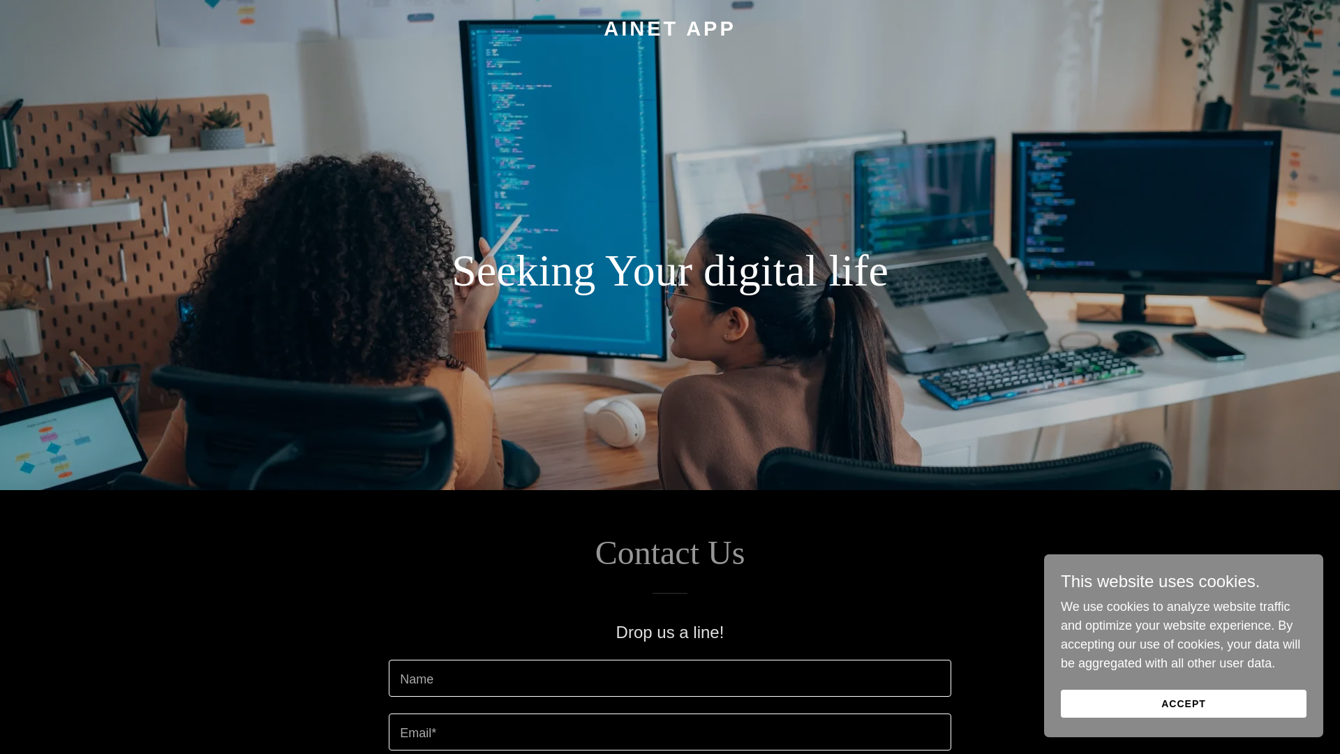 website screenshot of https://ainetapp.au/