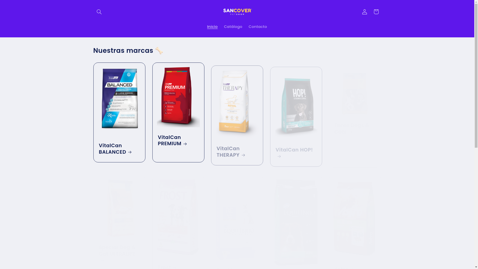 website screenshot of https://sancover.shop/