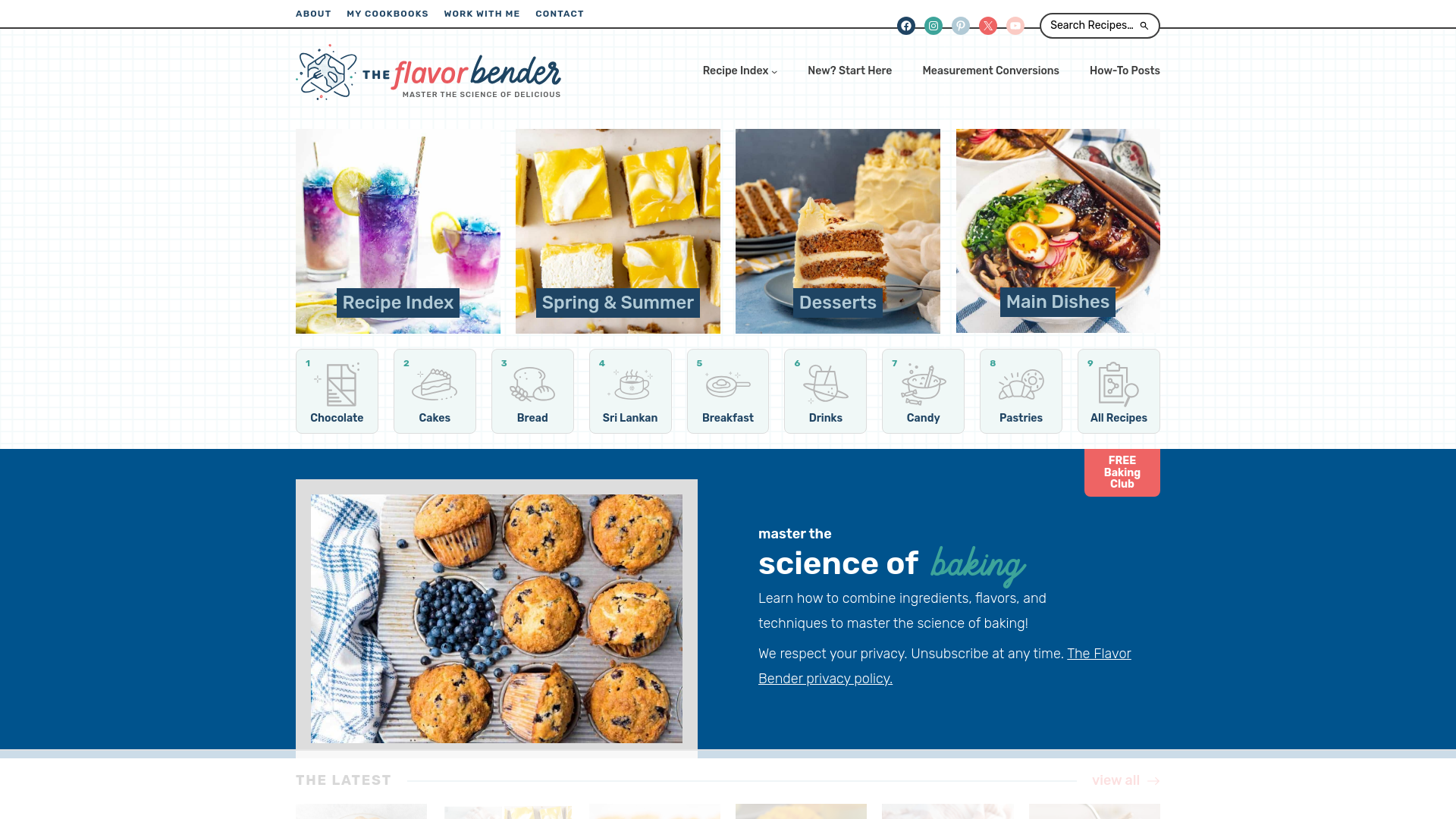 website screenshot of https://theflavorbender.com