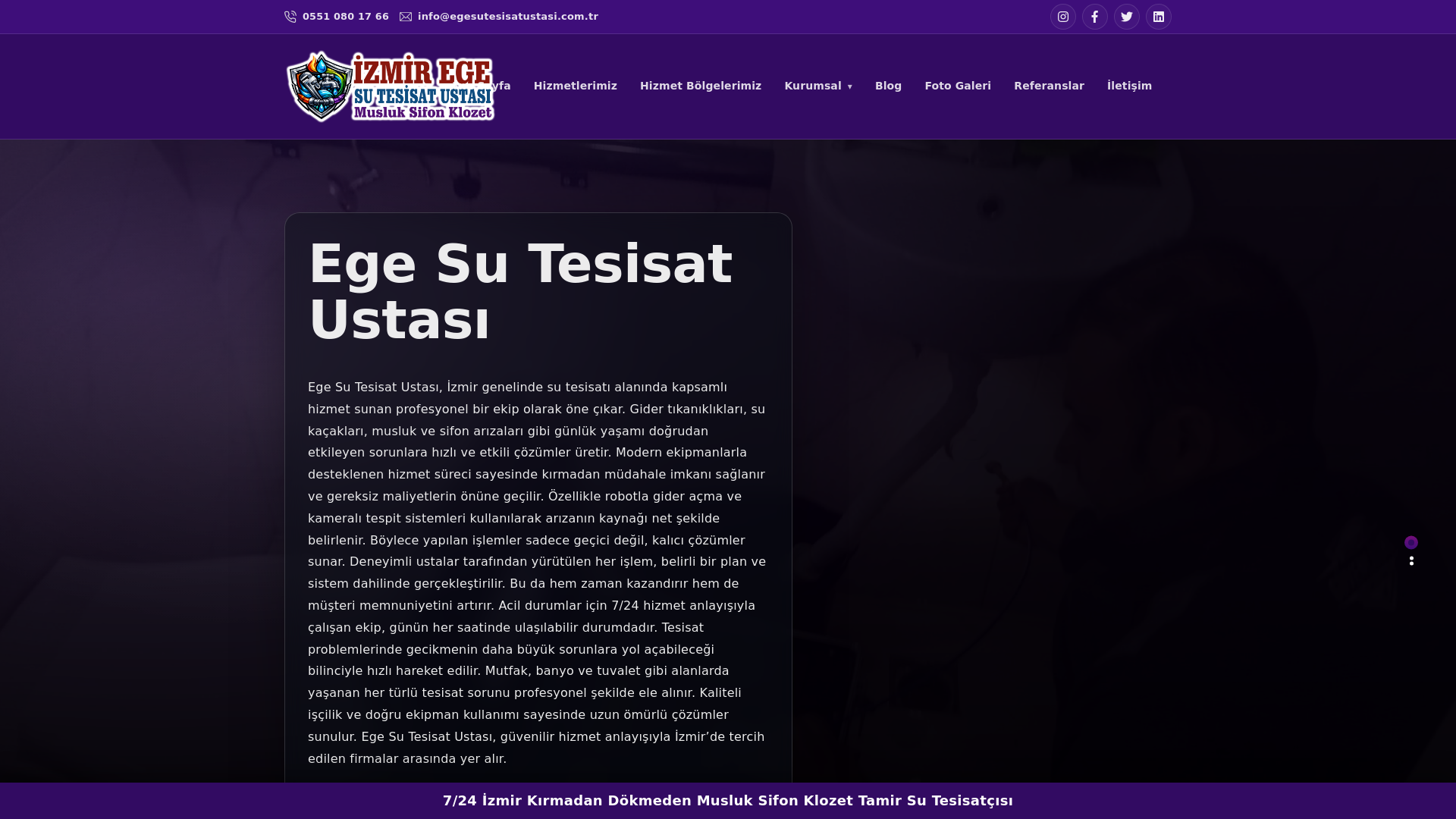 website screenshot of https://egesutesisatustasi.com.tr