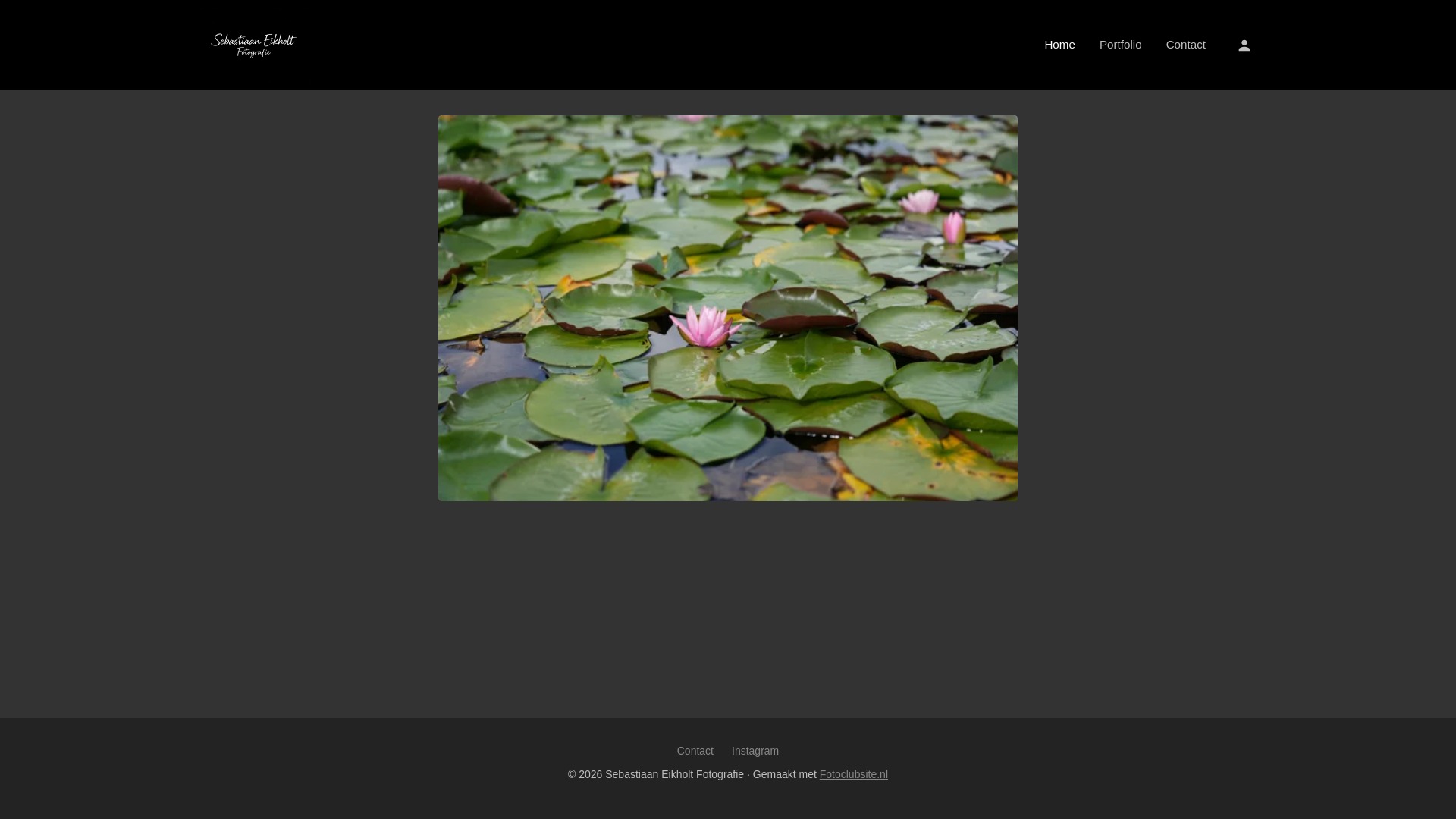 website screenshot of https://sebastiaaneikholt.nl/