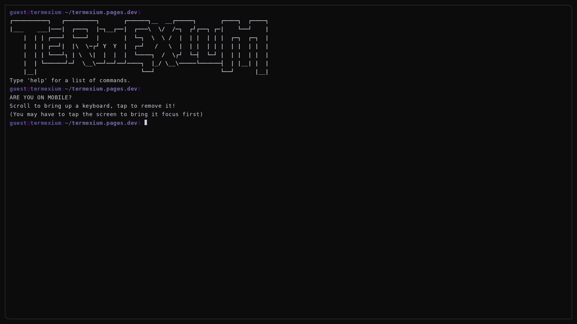 website screenshot of https://termexium.pages.dev/