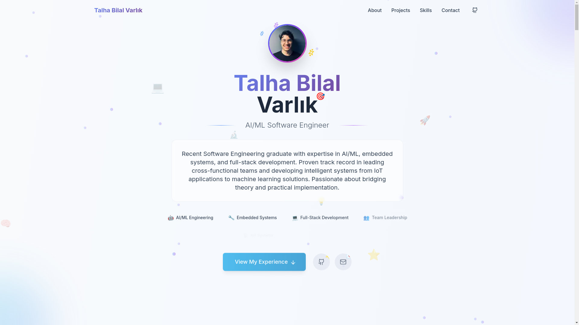 website screenshot of https://talhabvarlik.com/