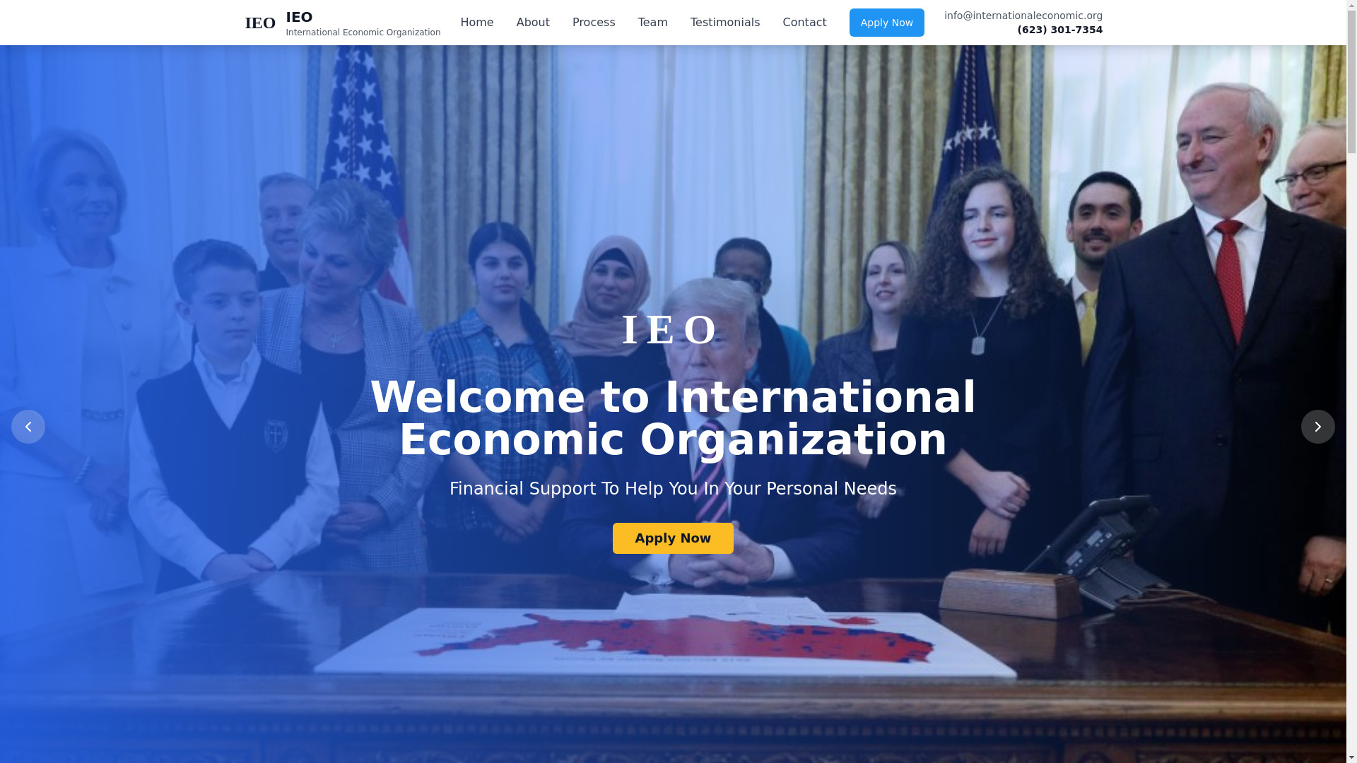 website screenshot of https://internationaleconomic.org/