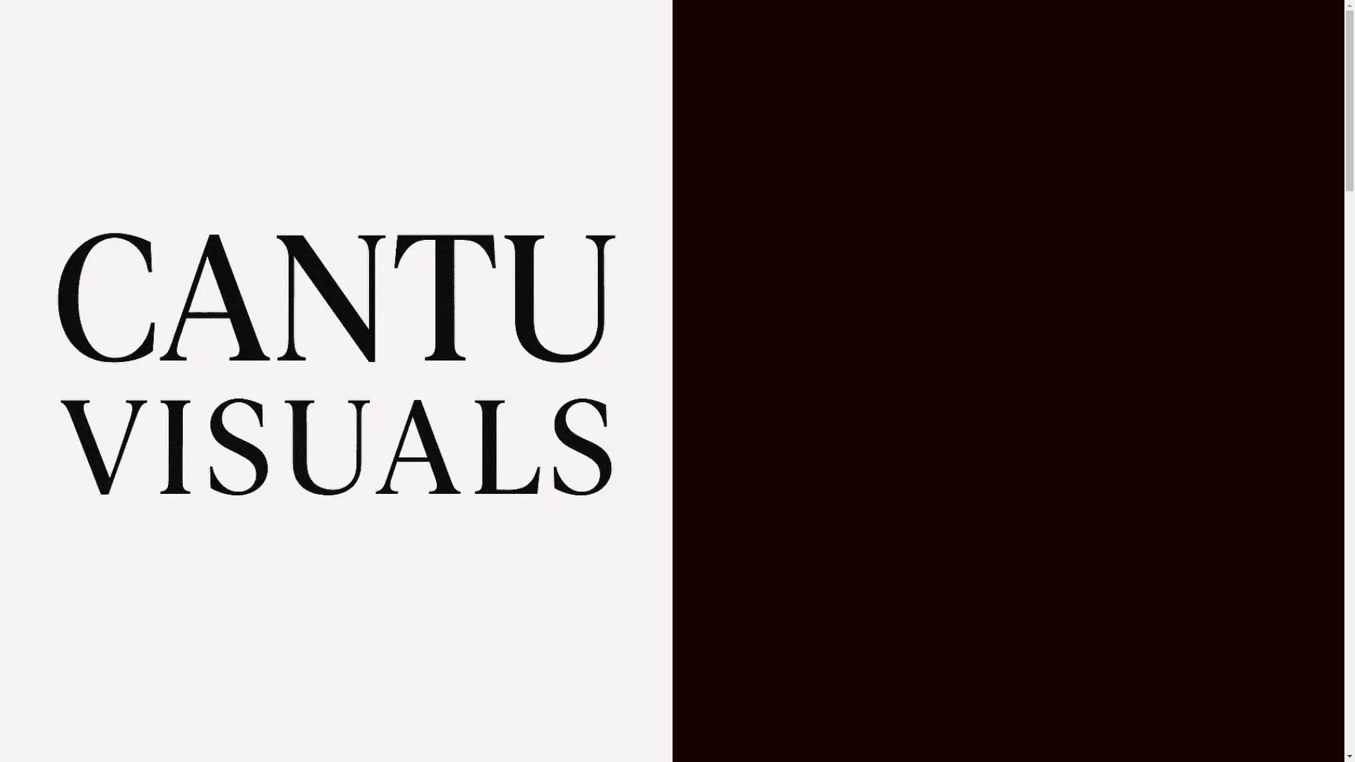 website screenshot of https://cantu-visuals.com/