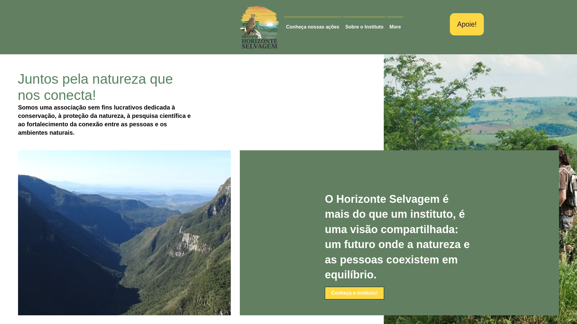 website screenshot of https://institutohorizonteselvagem.org/