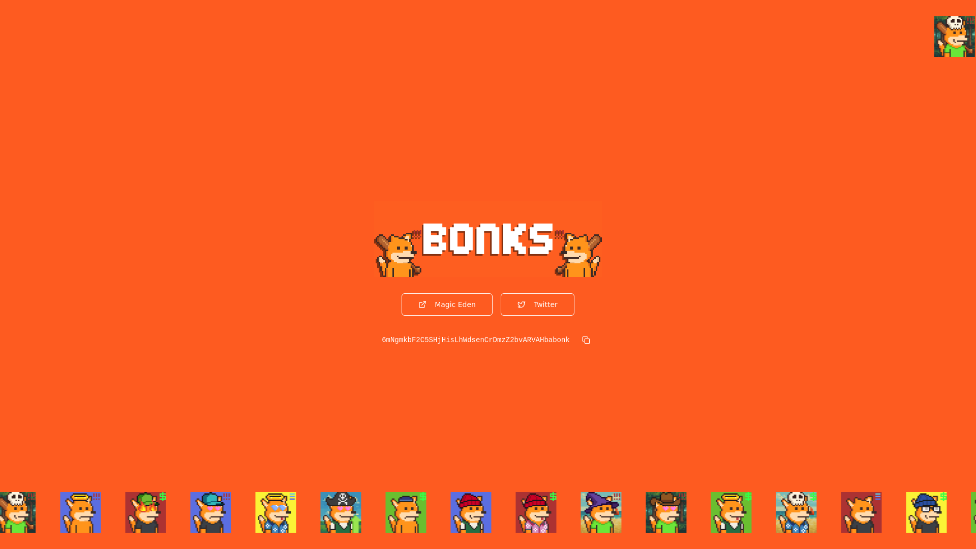 website screenshot of https://bonksnft.fun/
