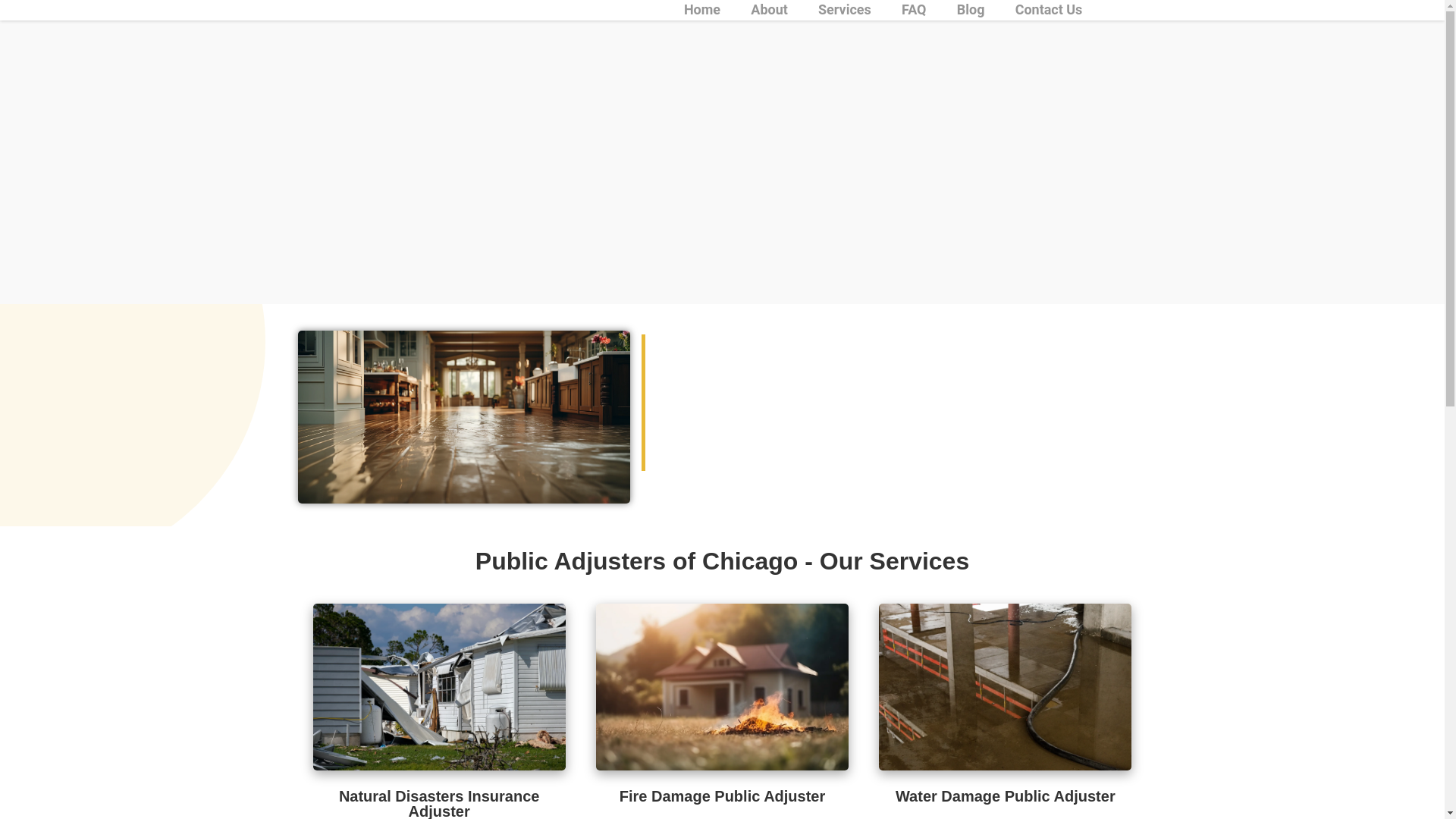 website screenshot of https://publicadjusternearchicago.com/