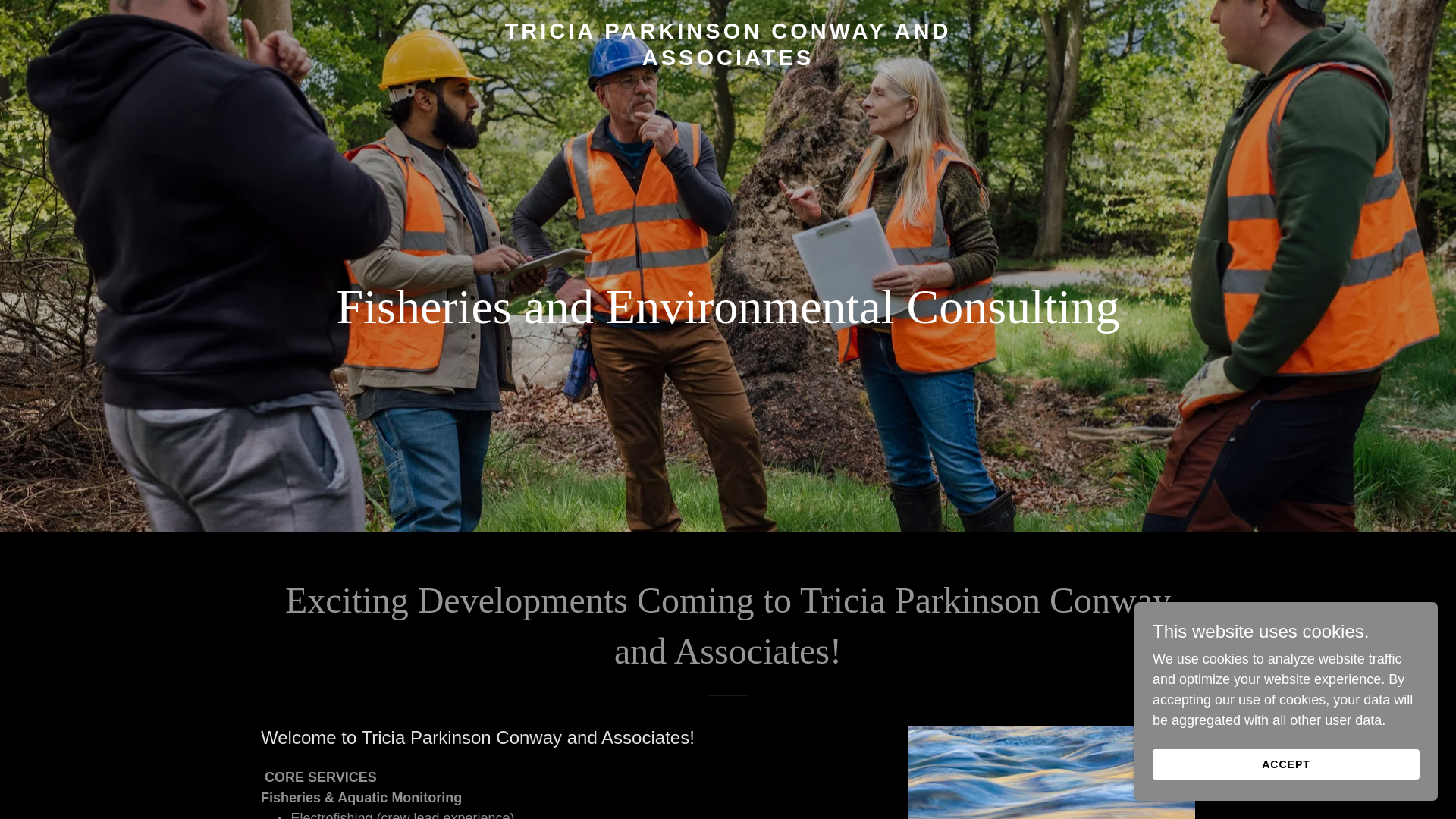 website screenshot of https://triciaparkinsonconwayandassociates.com/