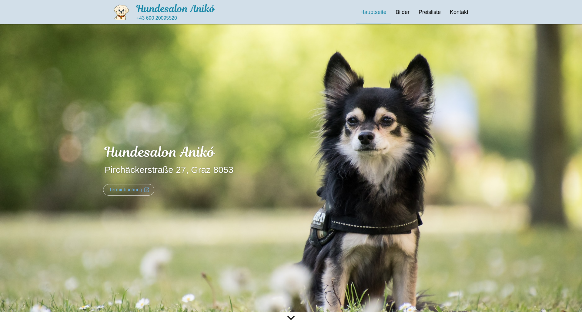 website screenshot of https://hundesalonaniko.at