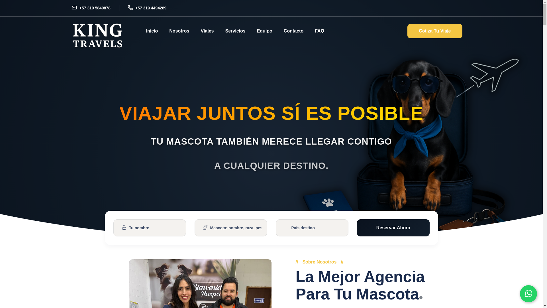 website screenshot of https://kingtravels.site/