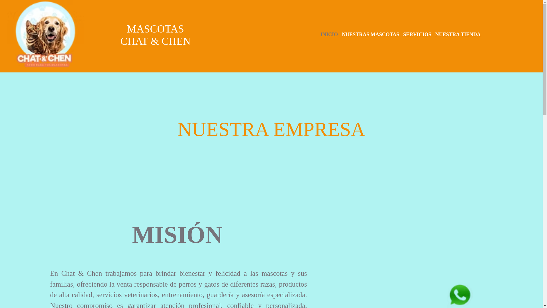 website screenshot of https://mascotaschatychen.com/