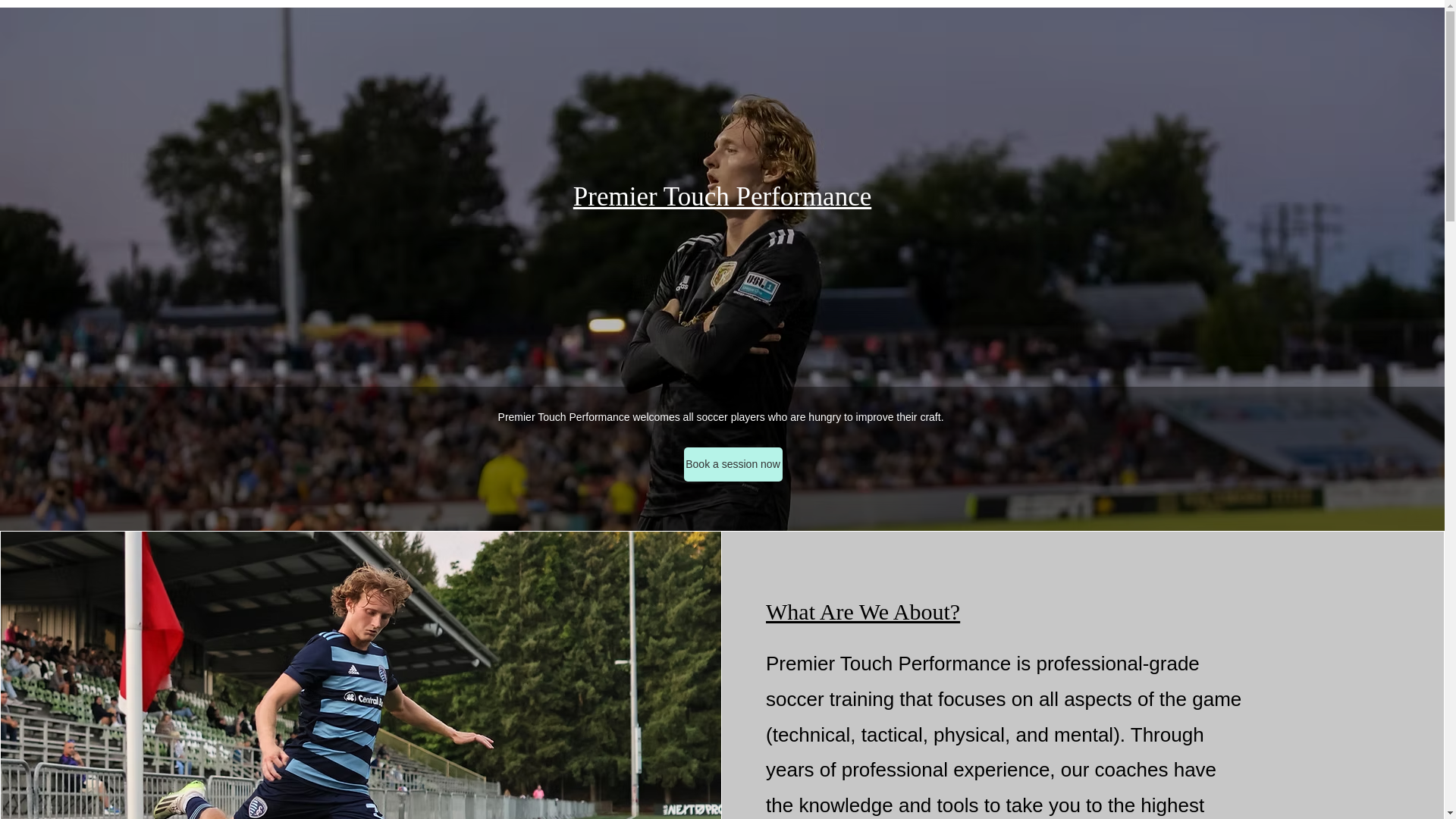website screenshot of https://premiertouchperformance.com/