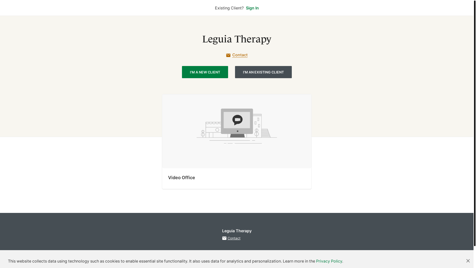 website screenshot of https://leguiatherapy.com/