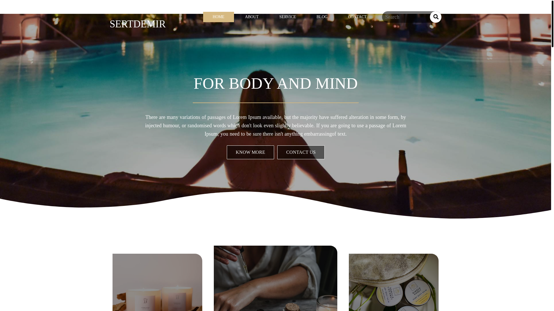 website screenshot of https://seyhansertdemir.com/