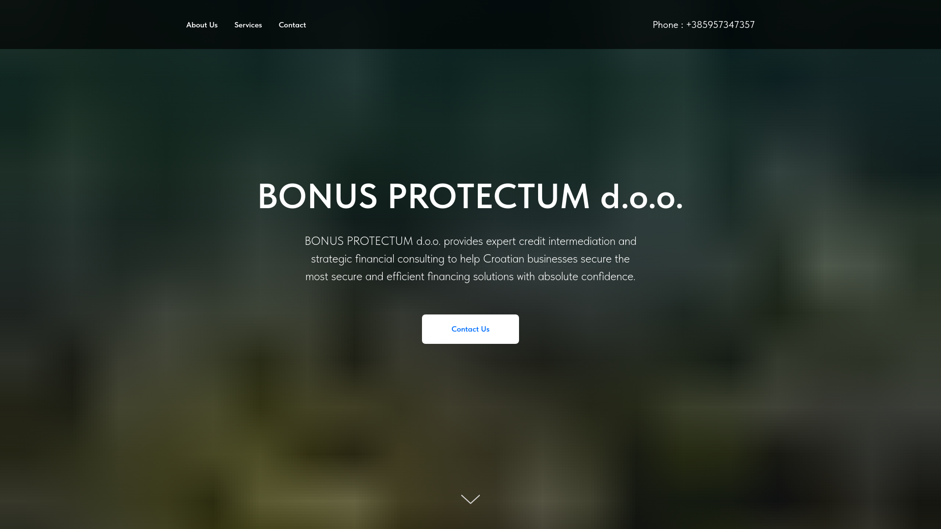 website screenshot of https://bonusprotectumdoo.com/