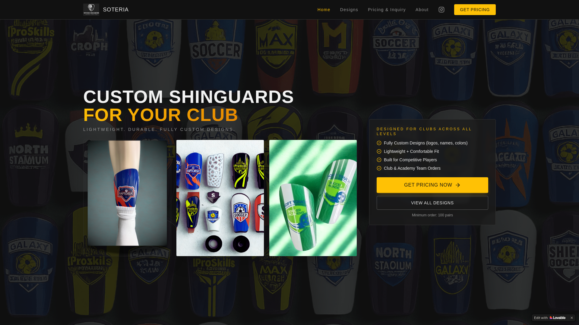 website screenshot of https://soteriashinguards.online