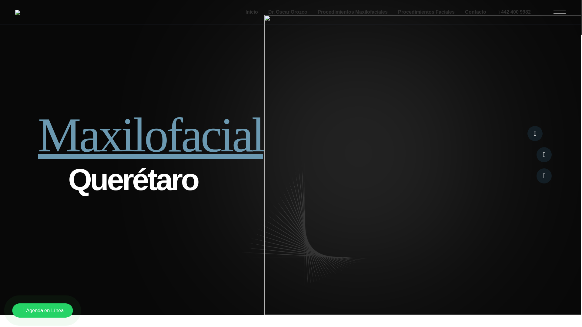 website screenshot of https://thefacialclinic.mx/
