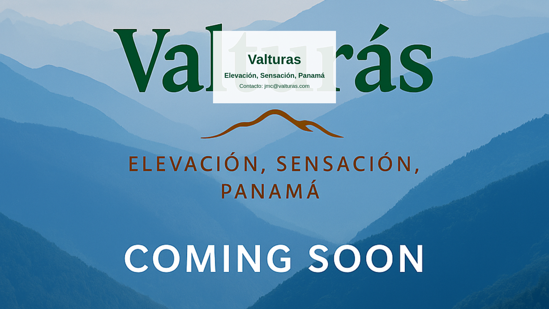 website screenshot of https://valturas-401.pages.dev/