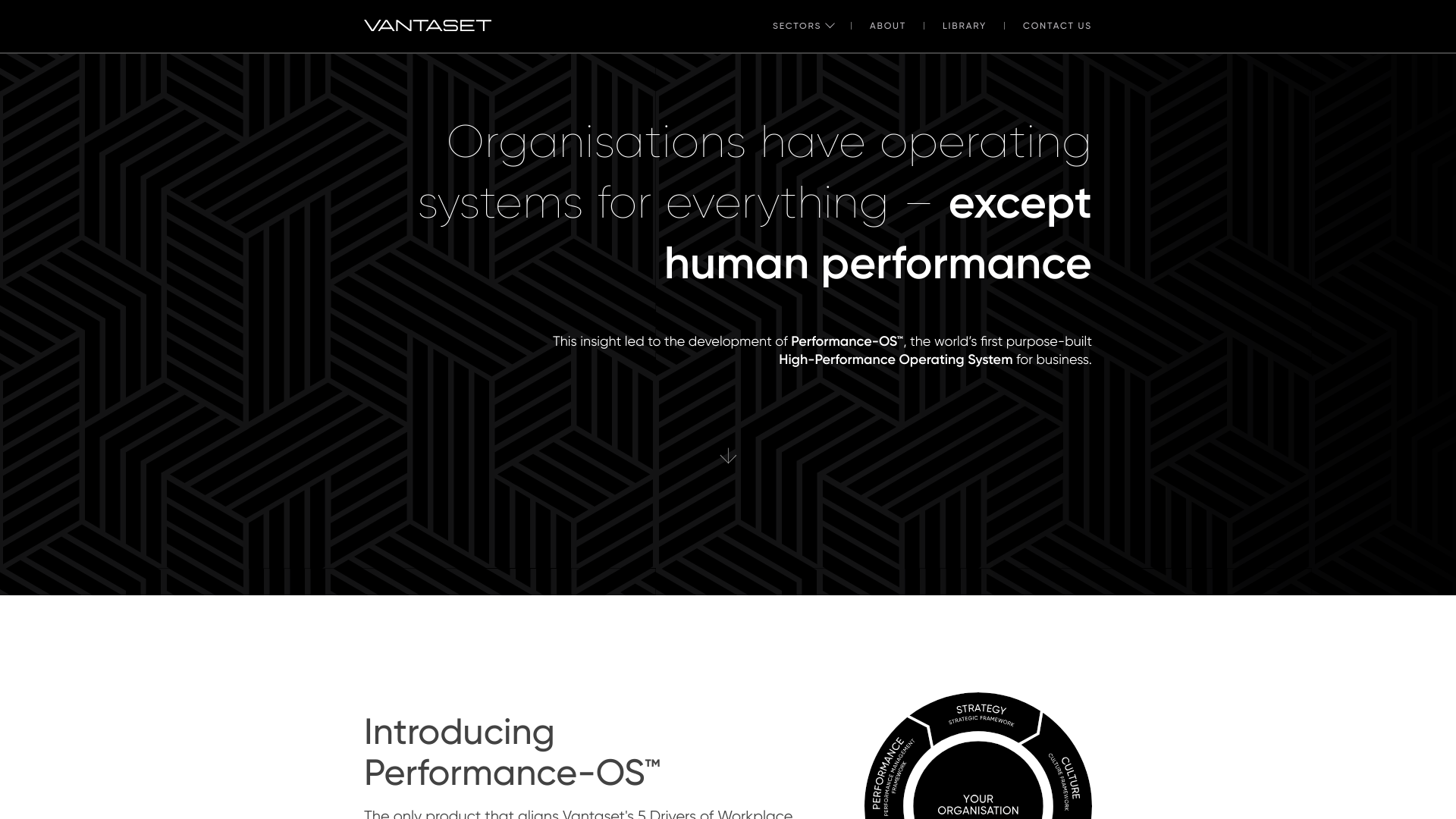 website screenshot of https://thefivedriversofworkplaceperformance.com/