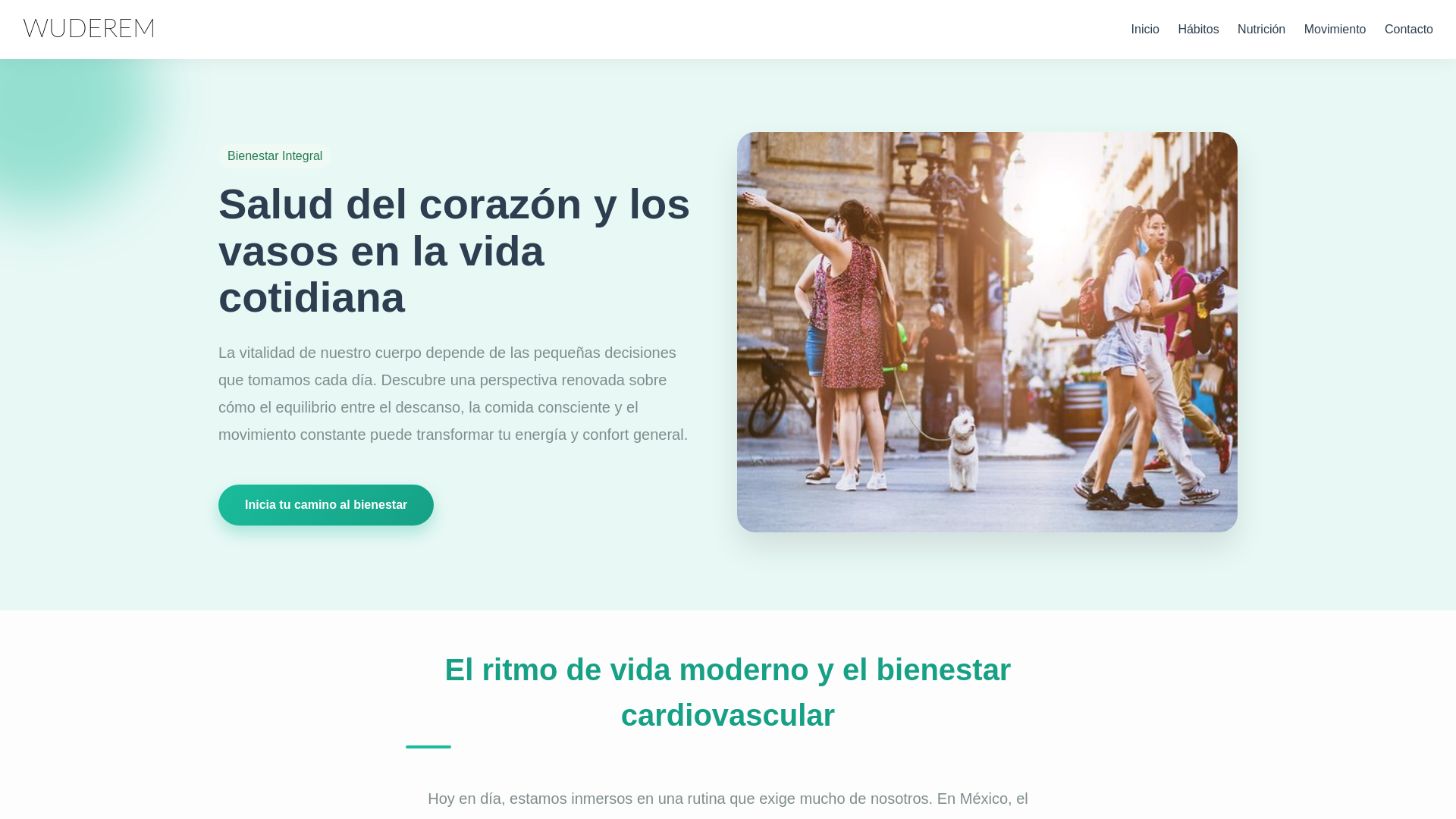 website screenshot of https://wuderem.icu/