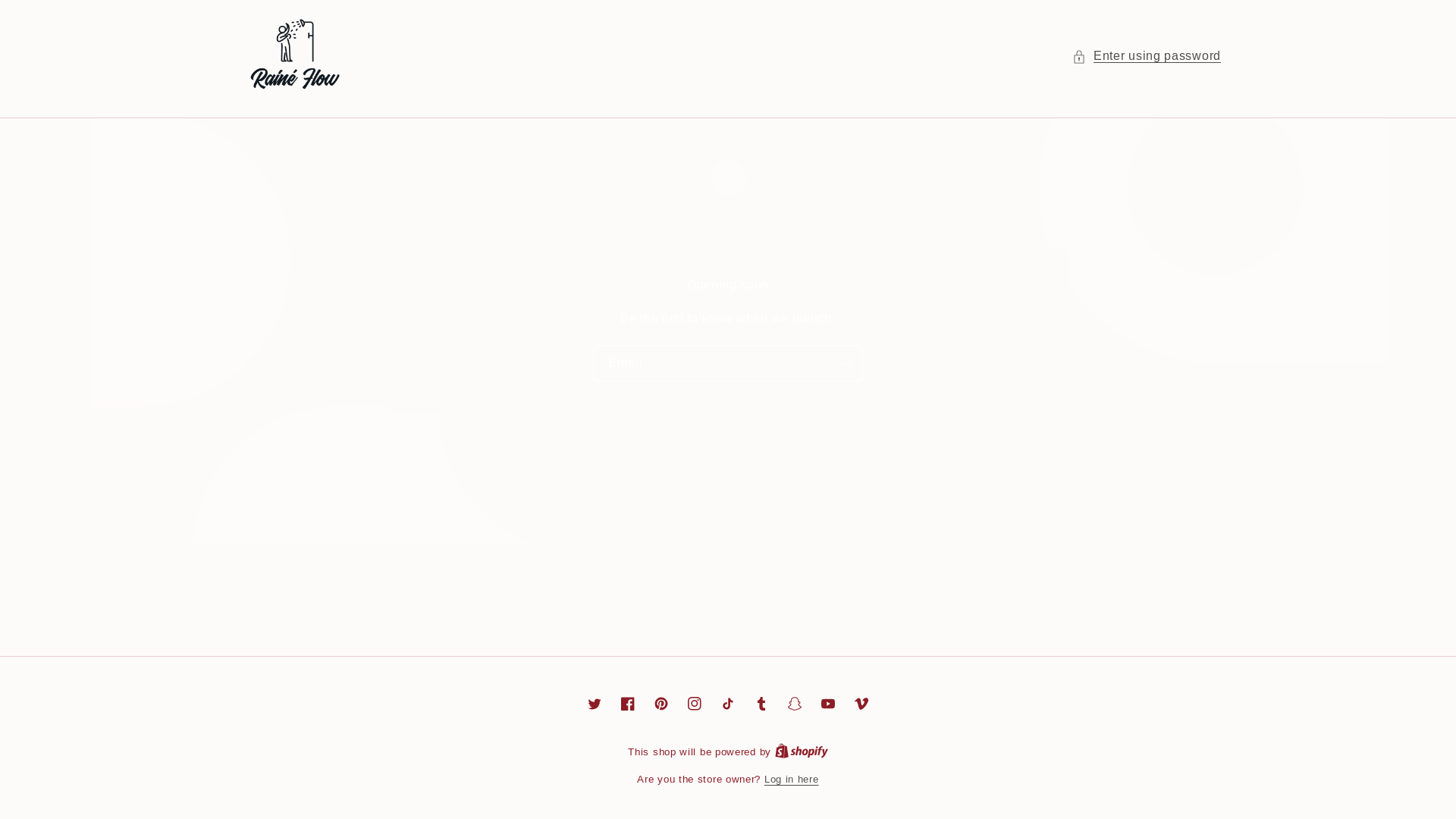 website screenshot of https://raineflow.com/