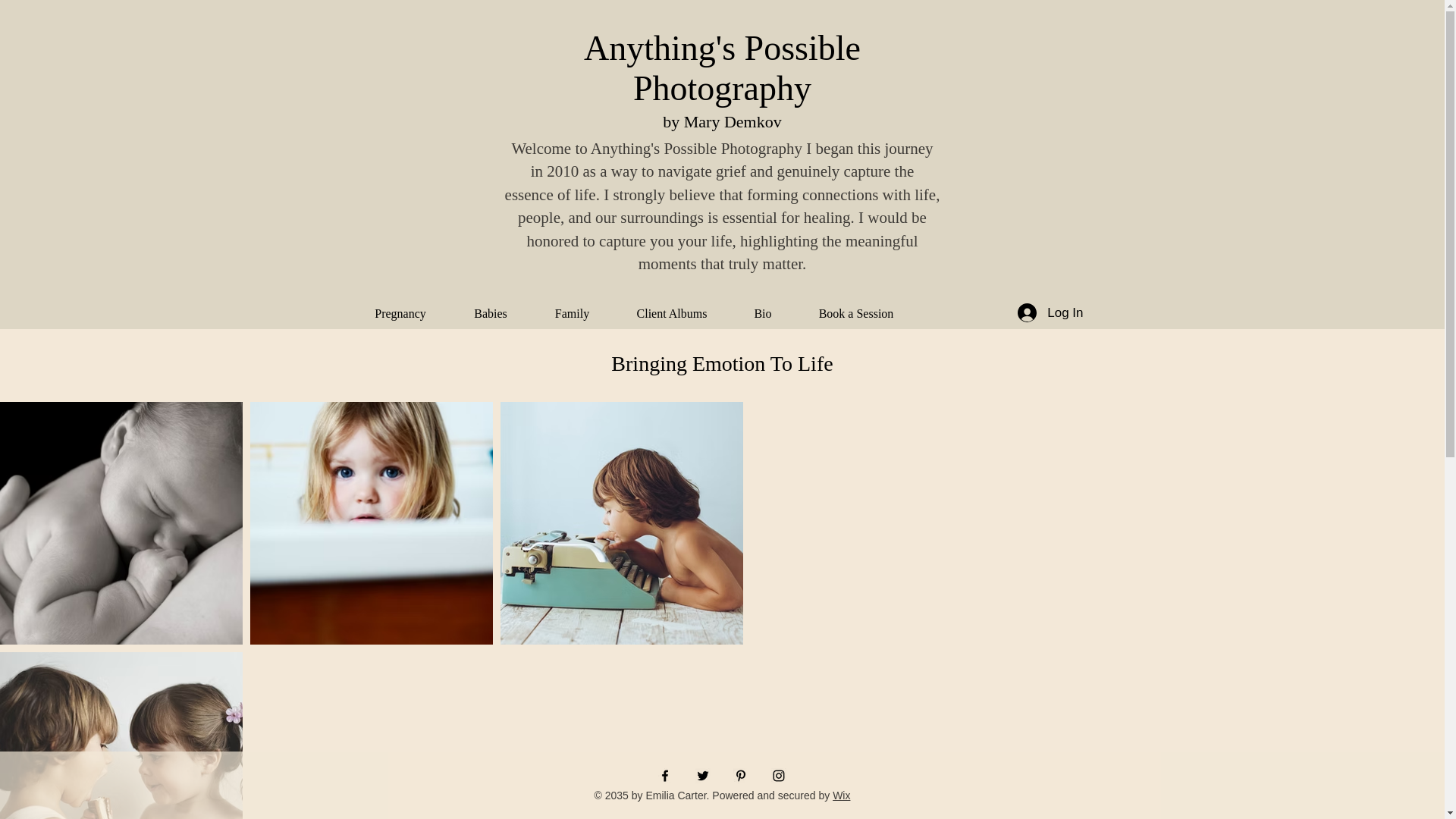 website screenshot of https://anythingspossiblemaryphoto.com/