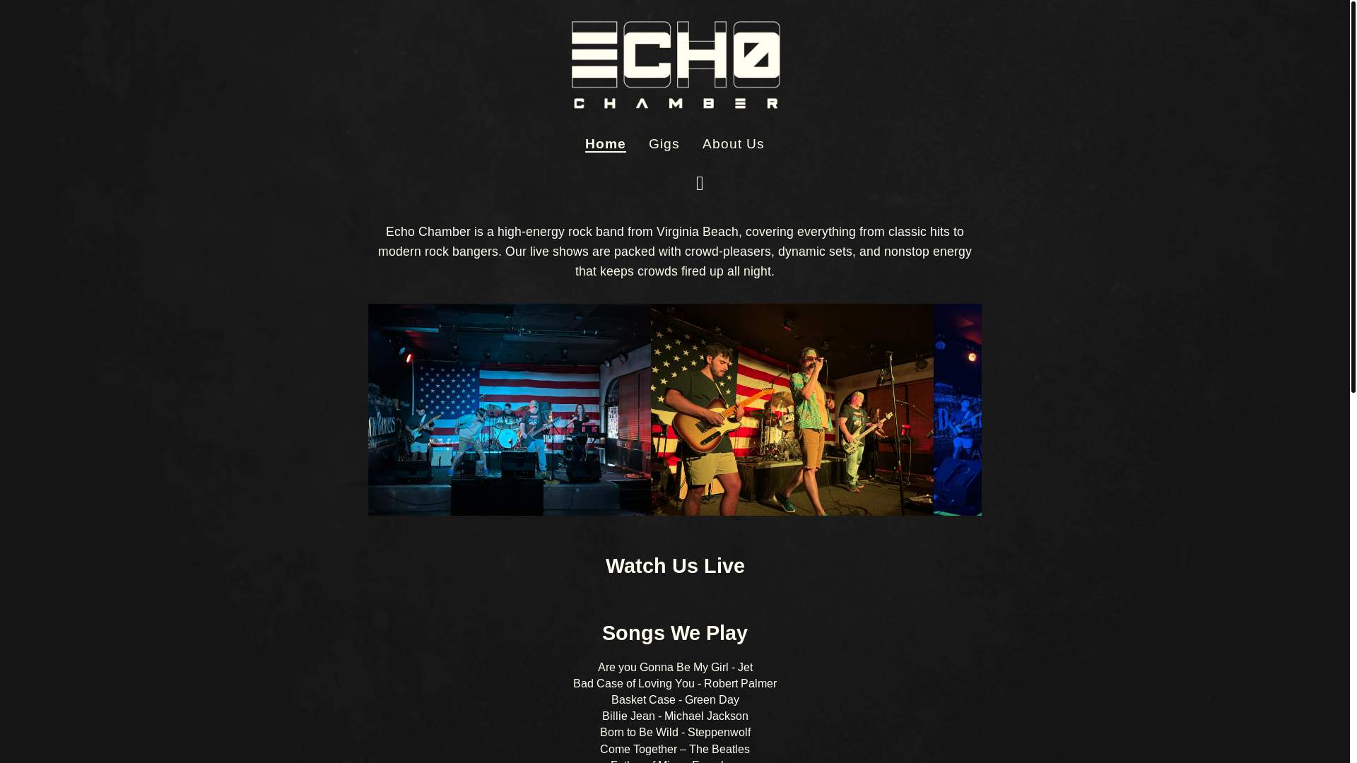 website screenshot of https://echochambervb.com/